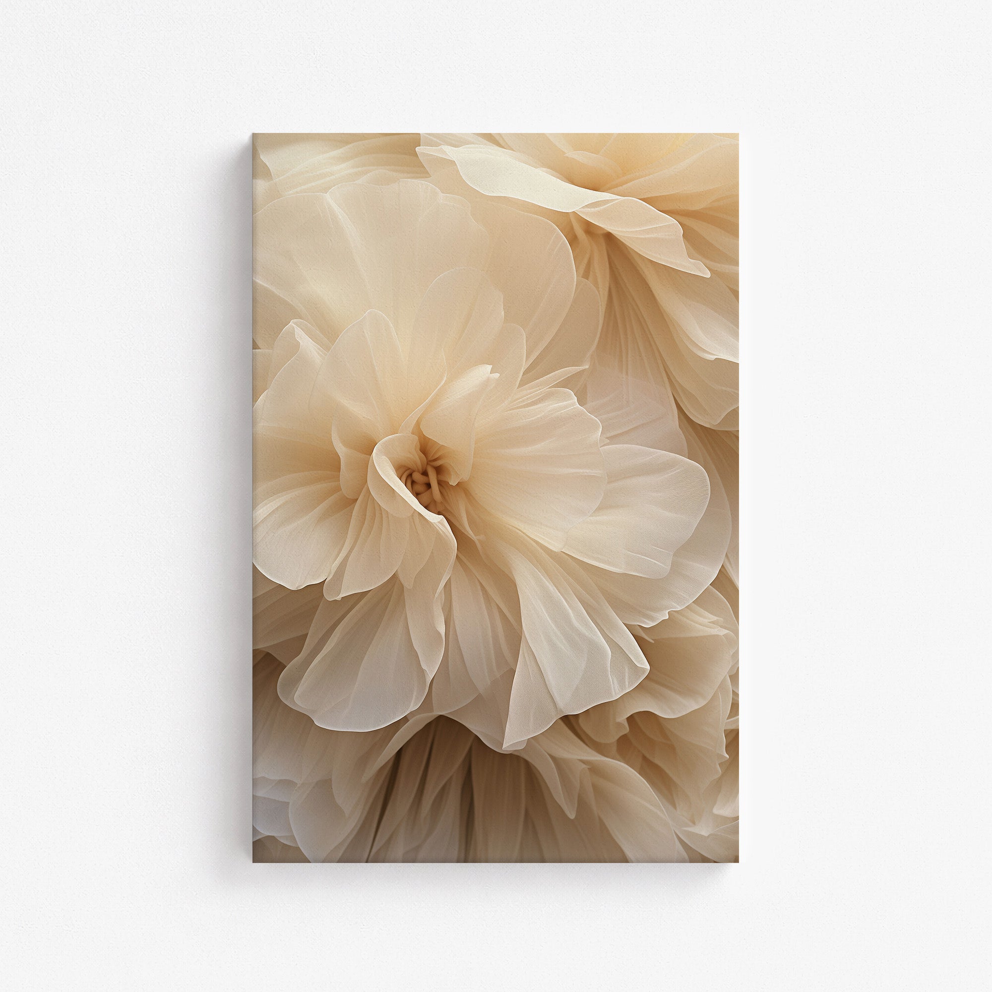 Ivory Petals Whisper