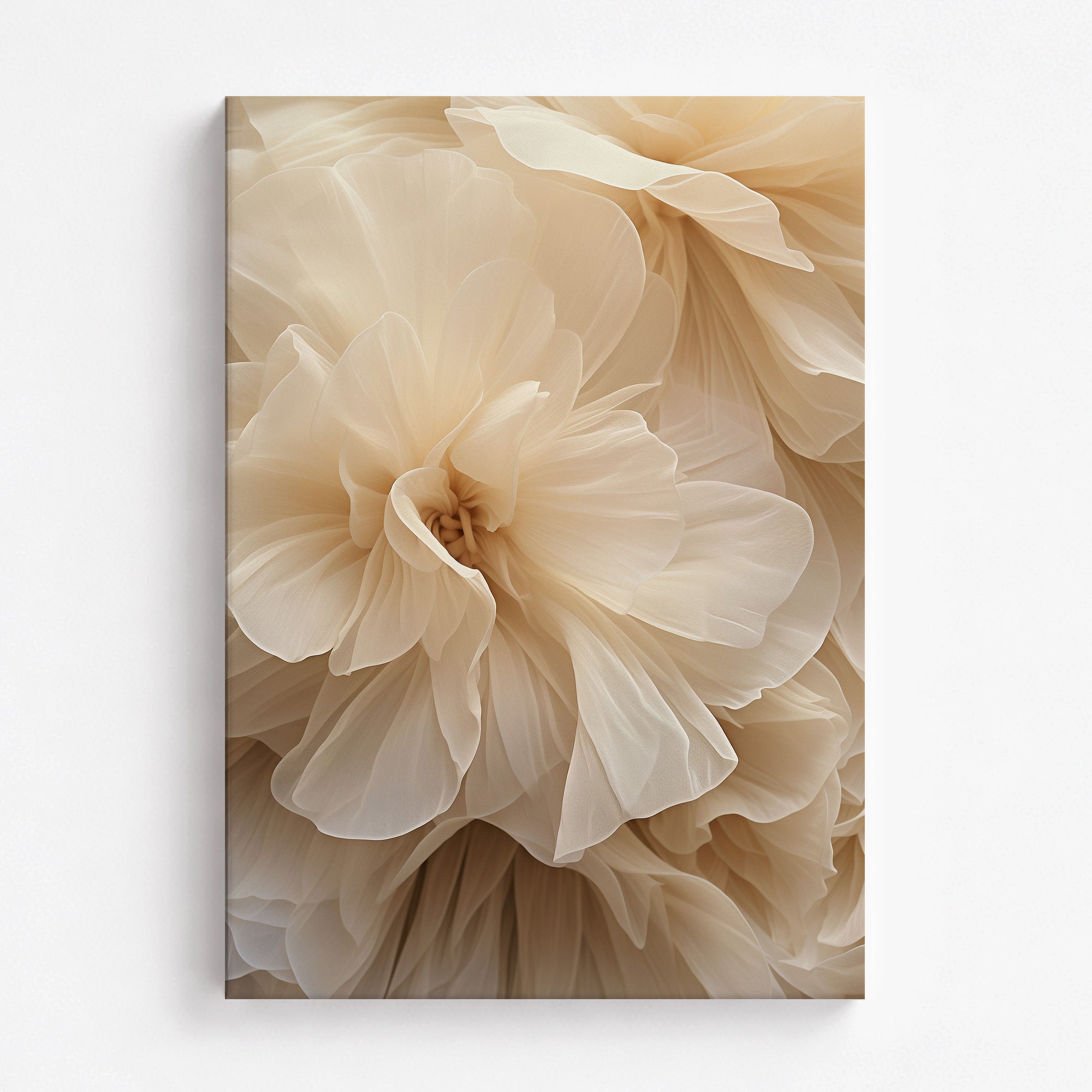 Ivory Petals Whisper