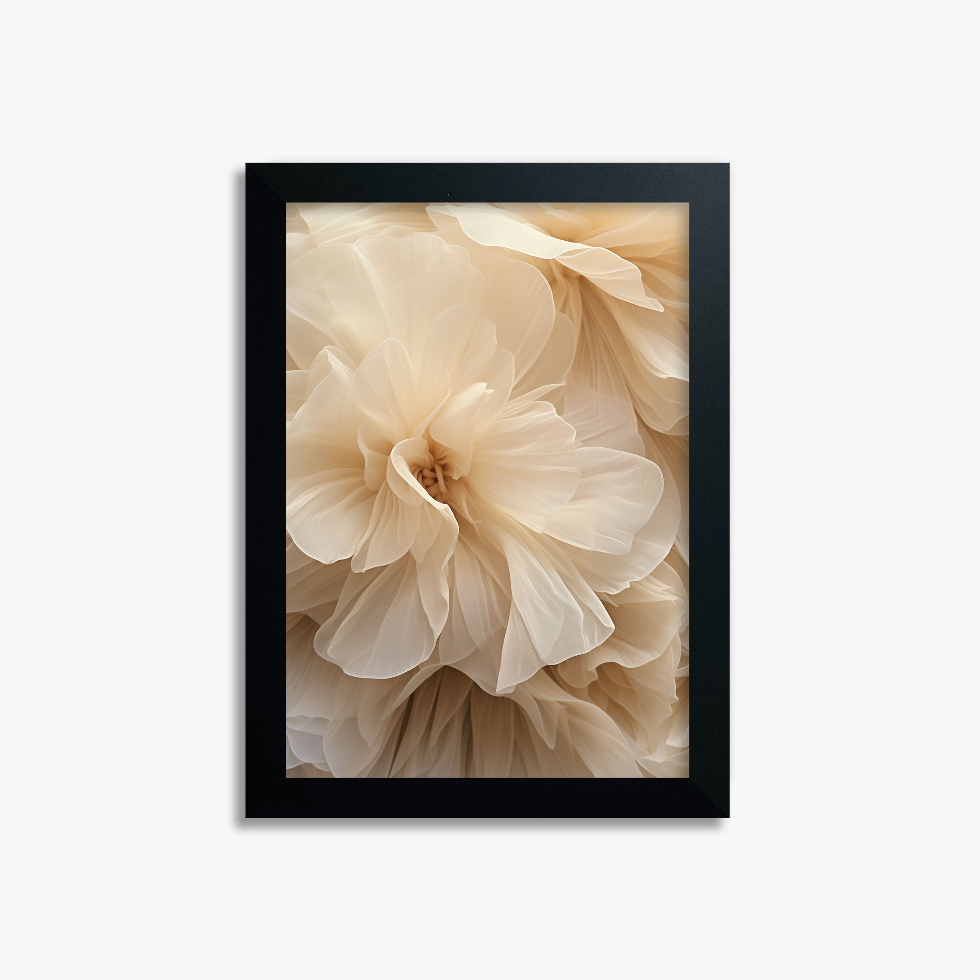 Ivory Petals Whisper, 21x30cm Framed Poster With Black Frame