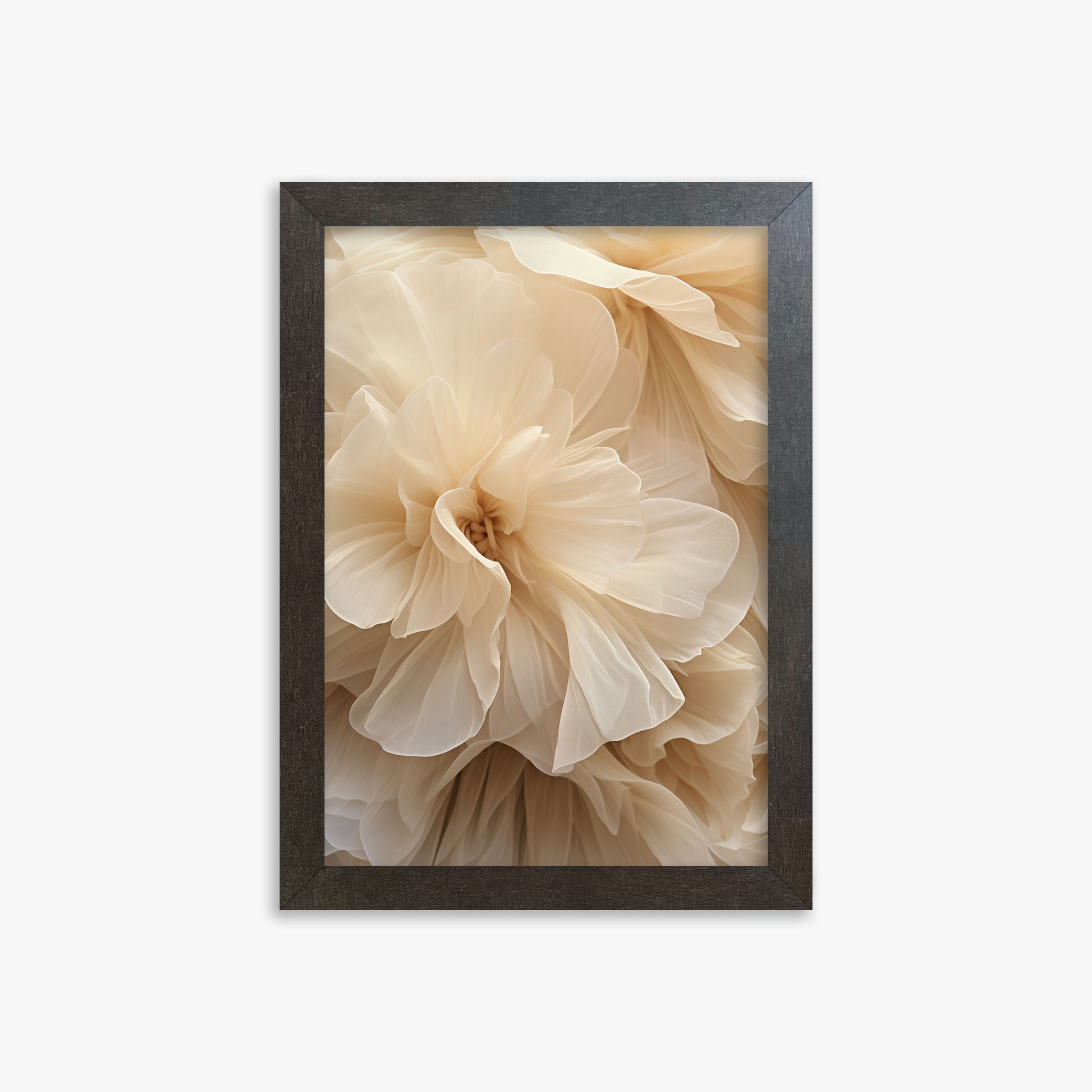 Ivory Petals Whisper, 21x30cm Framed Poster With Espresso Frame