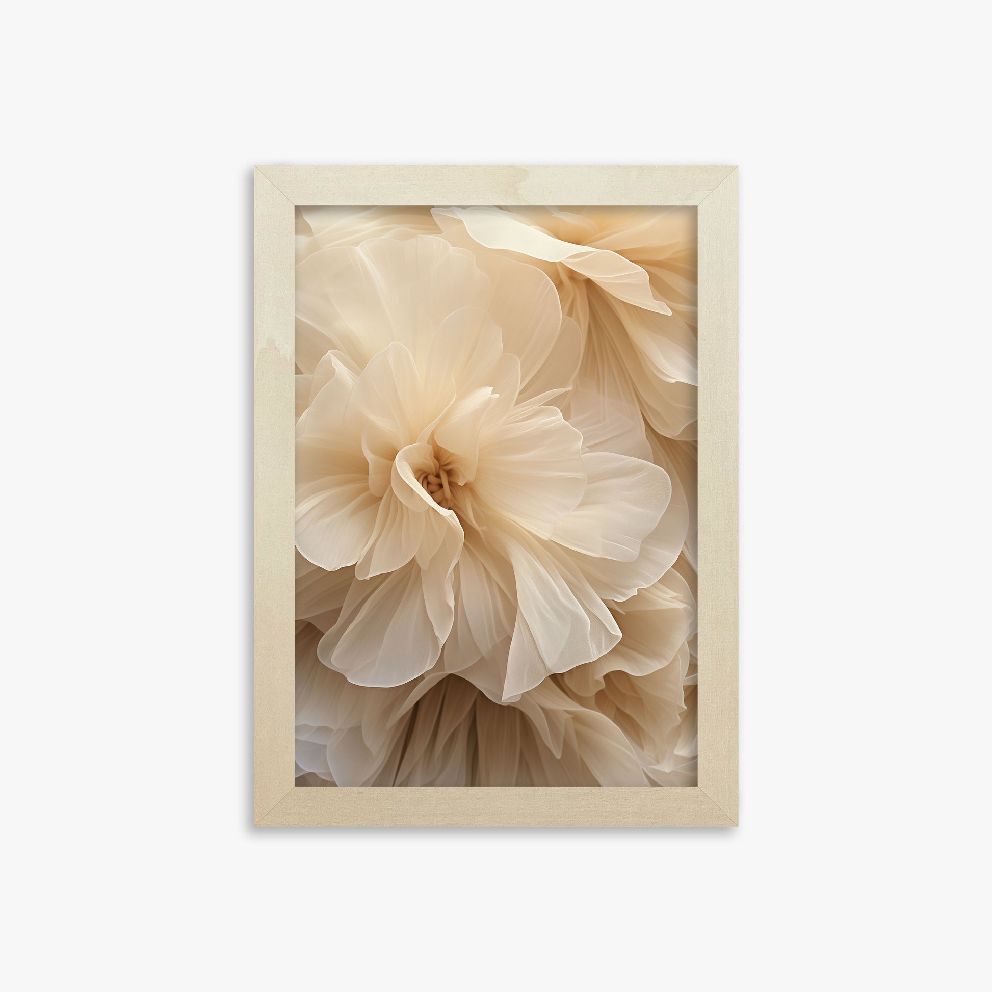 Ivory Petals Whisper, 21x30cm Framed Poster With Lime Wood Frame