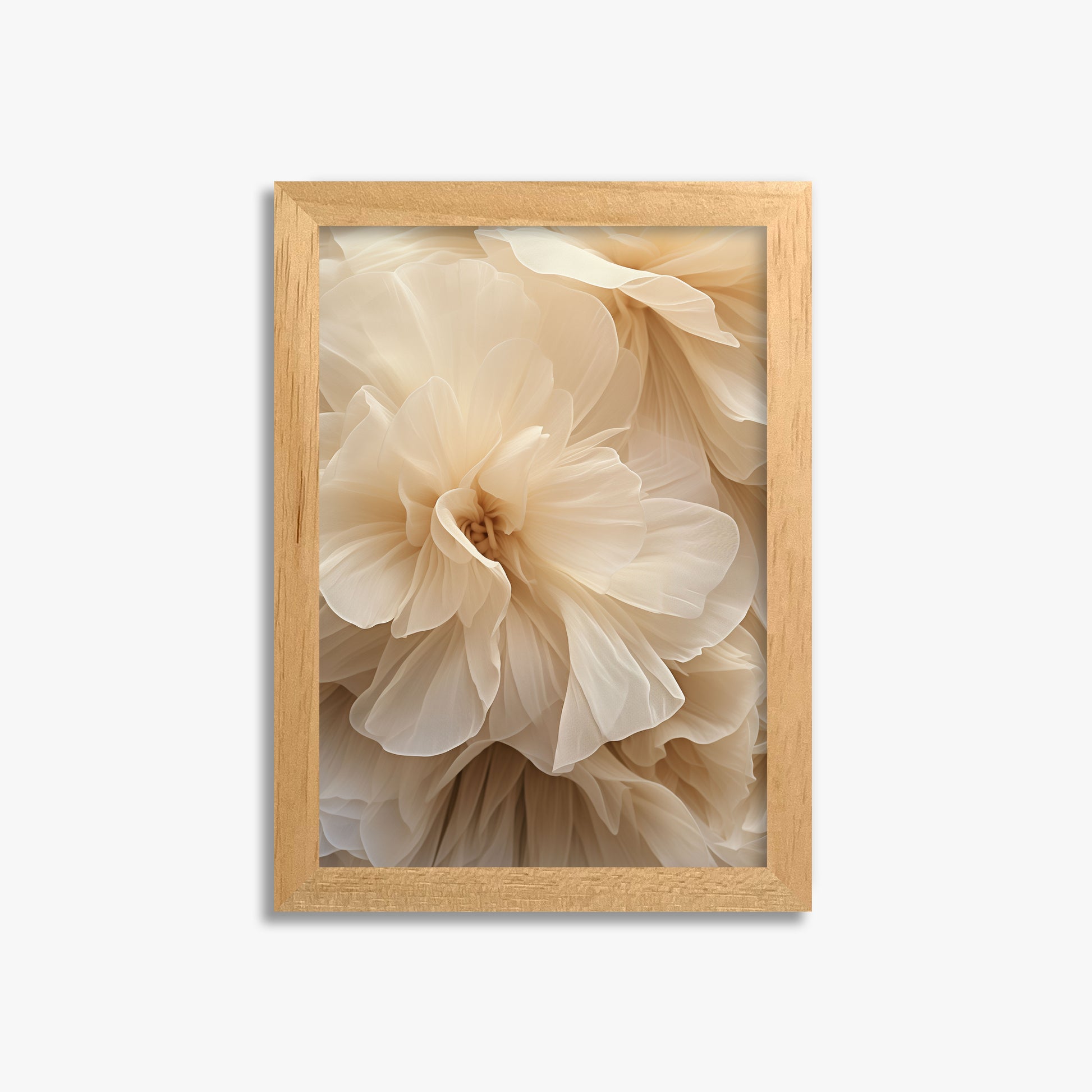 Ivory Petals Whisper, 21x30cm Framed Poster With Oak Frame