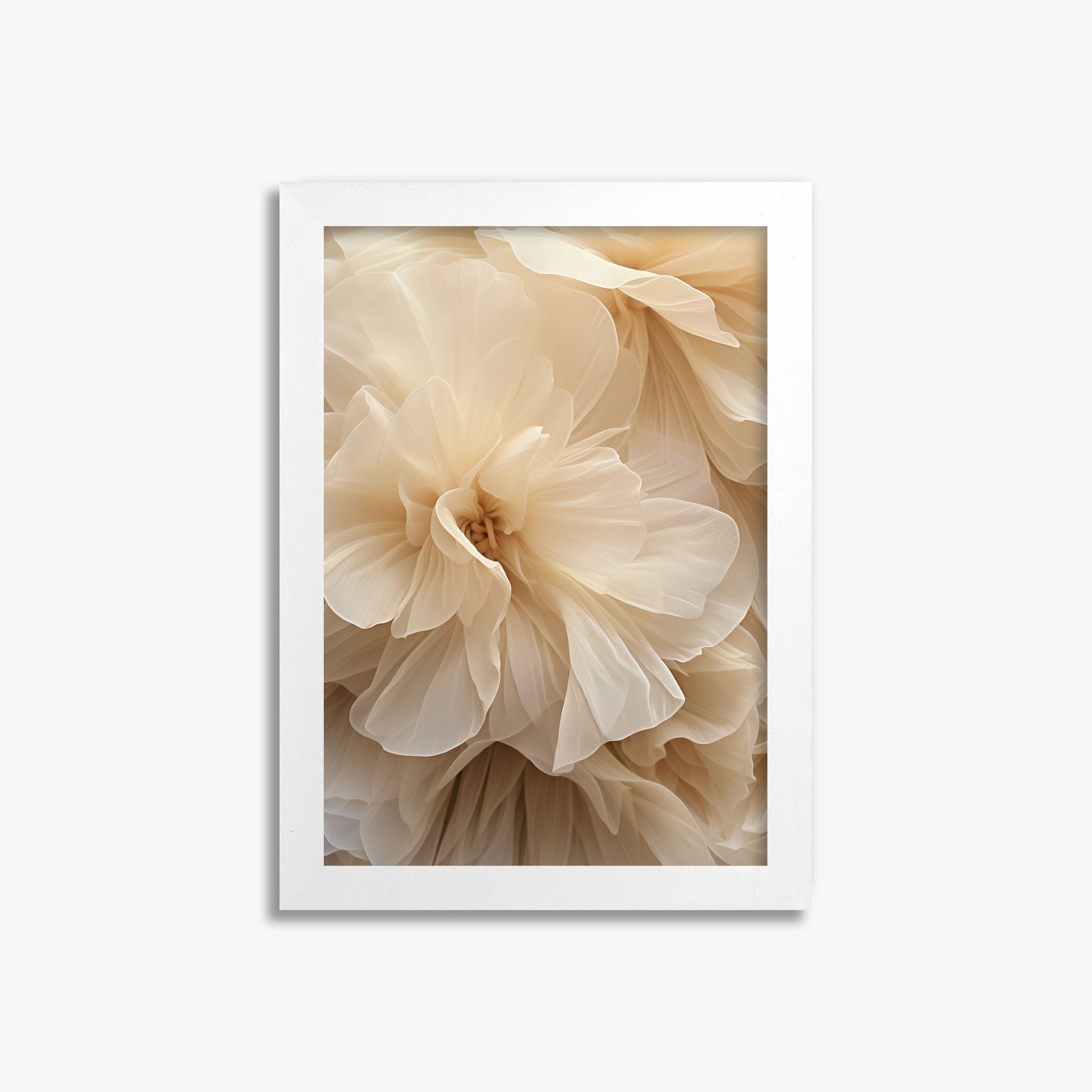 Ivory Petals Whisper, 21x30cm Framed Poster With White Frame