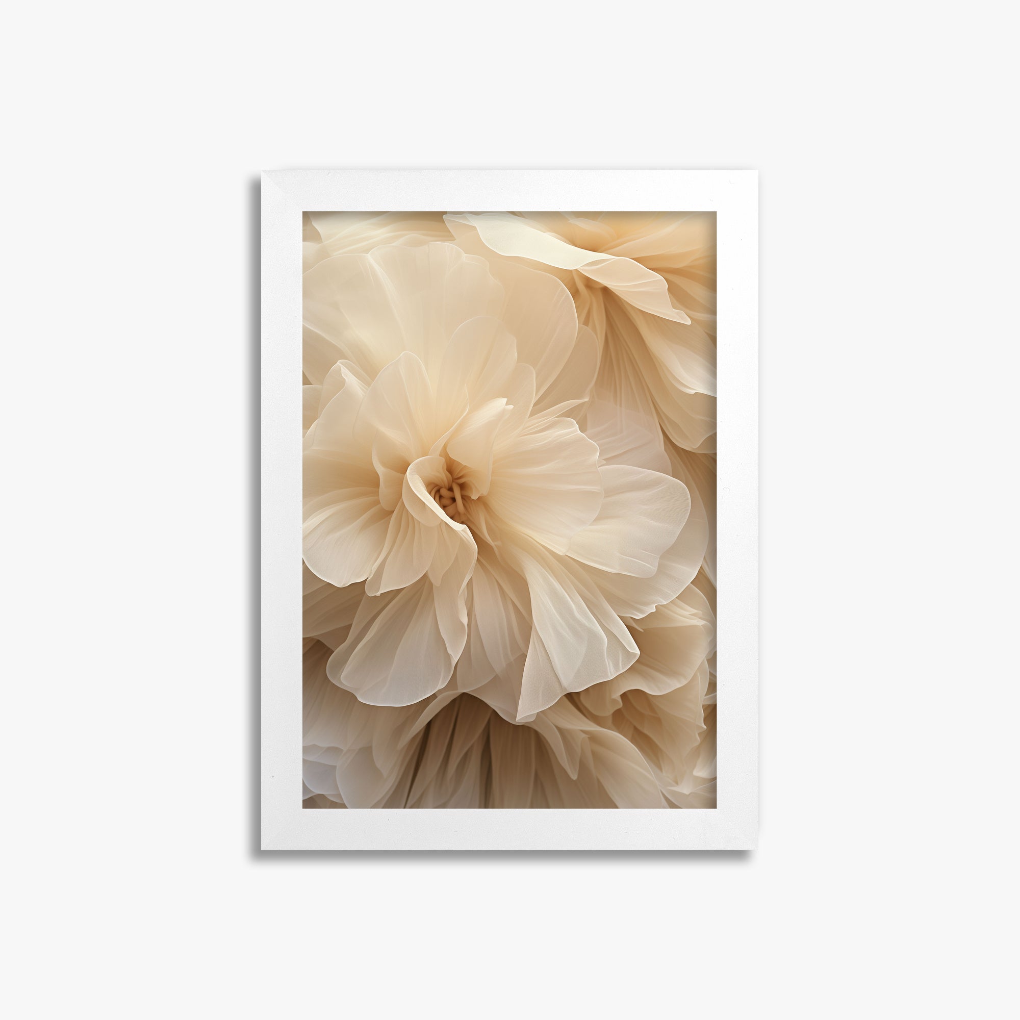 Ivory Petals Whisper, 21x30cm Framed Poster With White Frame