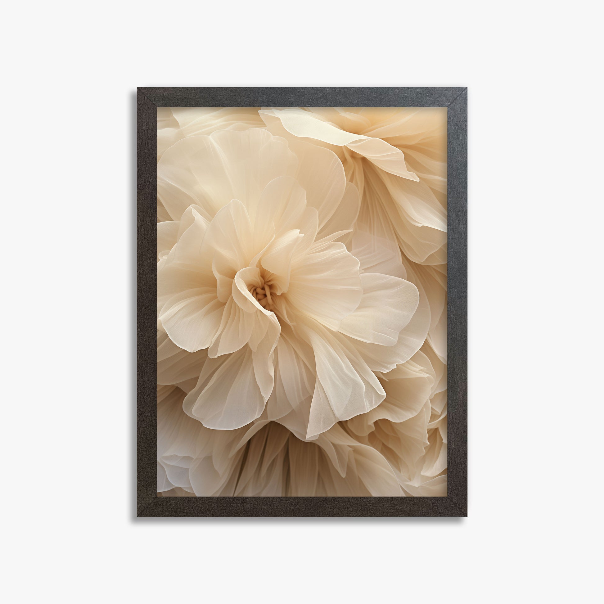 Ivory Petals Whisper, 30x40cm Framed Poster With Espresso Frame