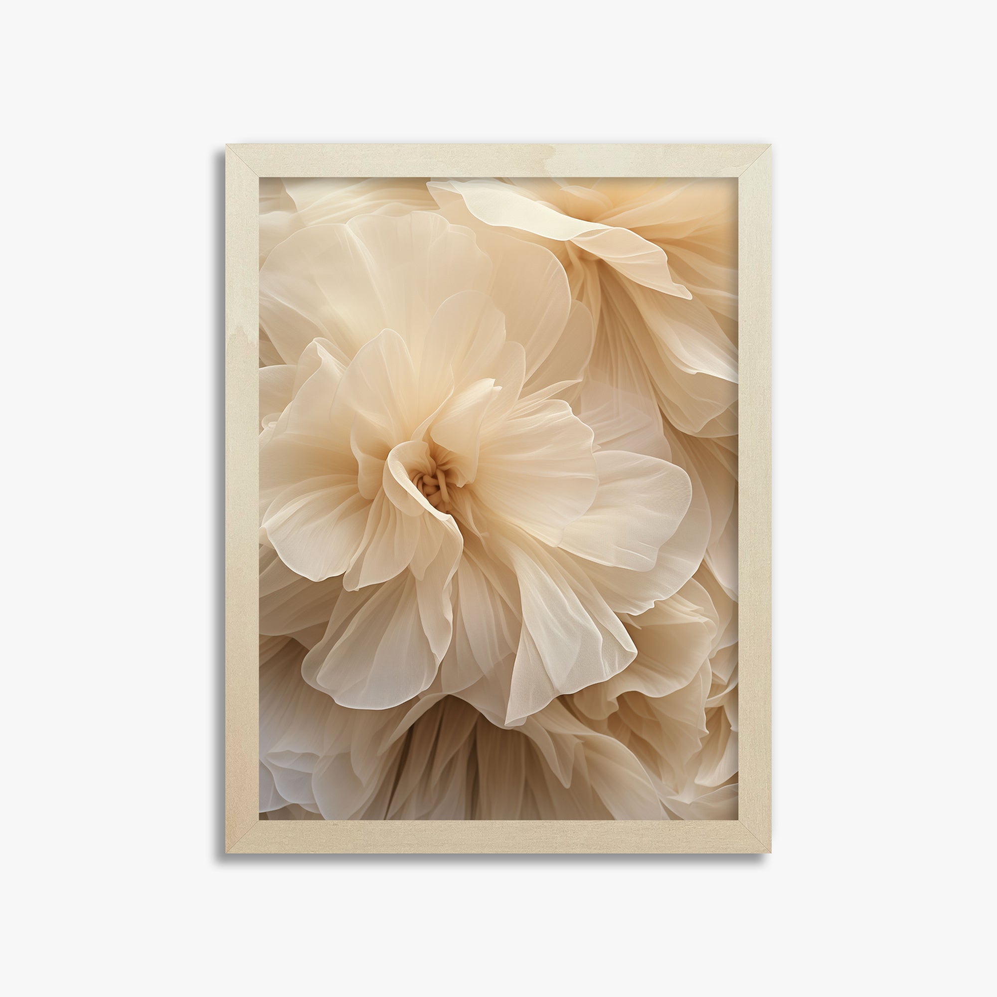 Ivory Petals Whisper, 30x40cm Framed Poster With Lime Wood Frame