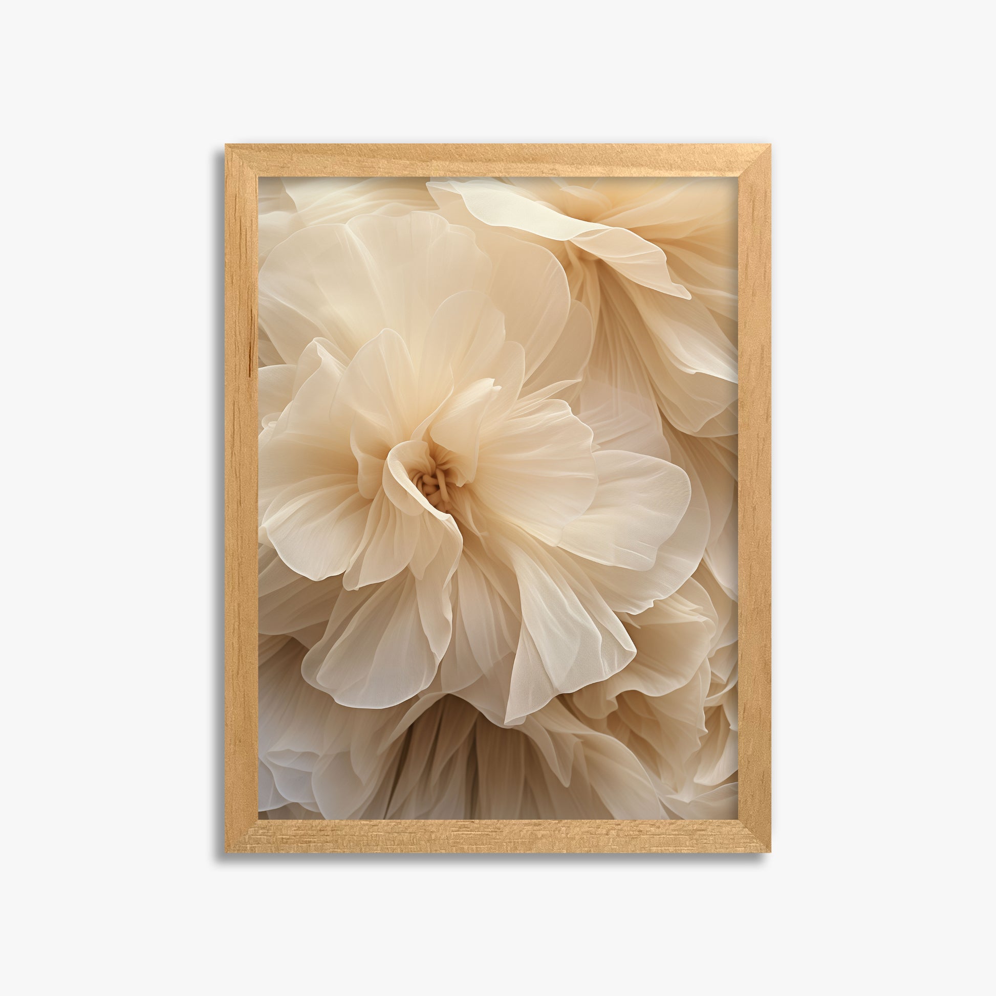 Ivory Petals Whisper, 30x40cm Framed Poster With Oak Frame