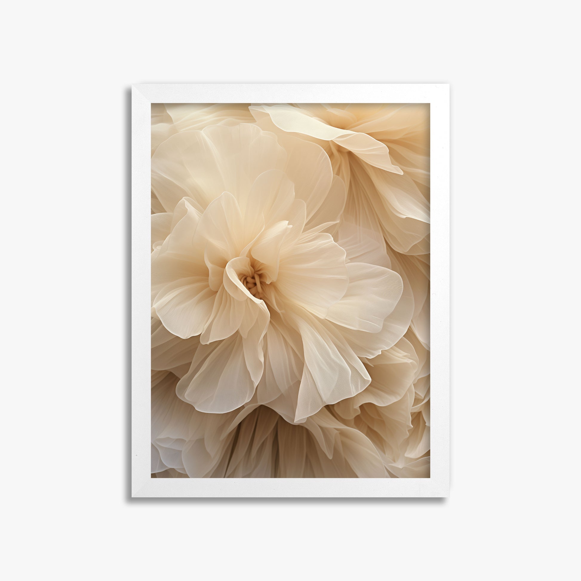 Ivory Petals Whisper, 30x40cm Framed Poster With White Frame