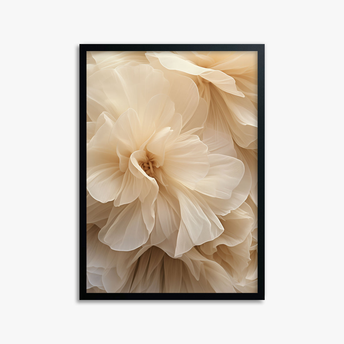 Ivory Petals Whisper, 50x70cm Framed Poster With Black Frame