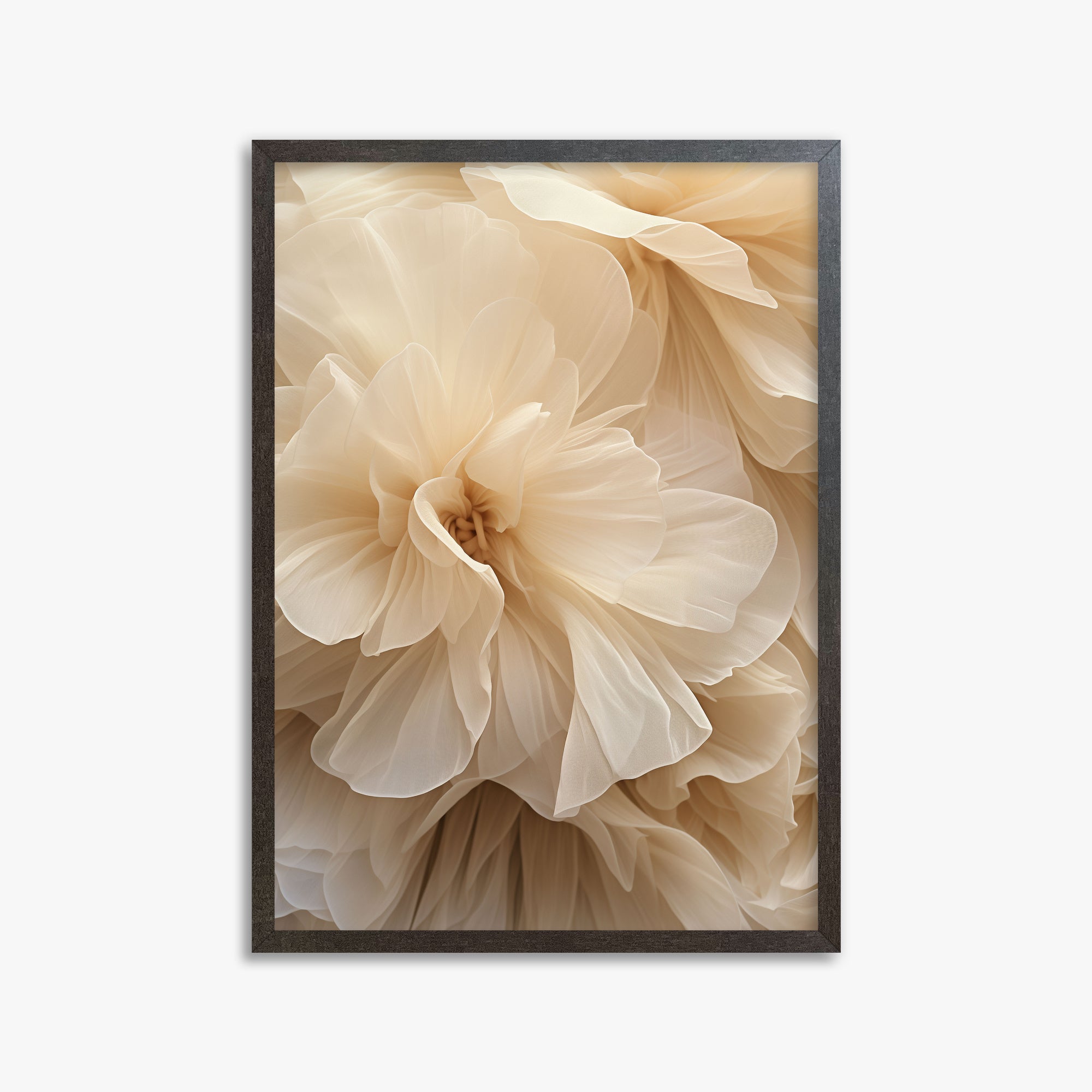 Ivory Petals Whisper, 50x70cm Framed Poster With Espresso Frame