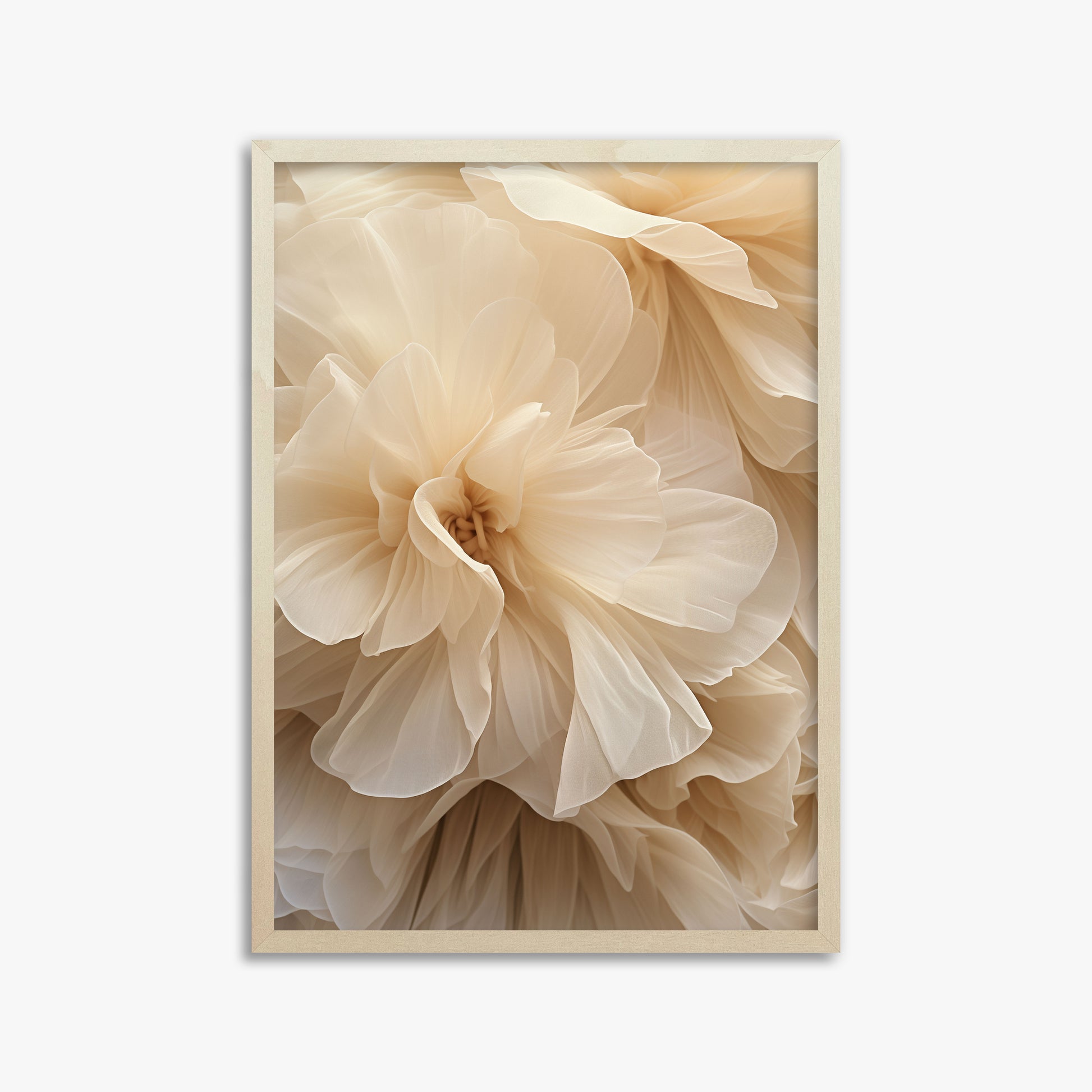 Ivory Petals Whisper, 50x70cm Framed Poster With Lime Wood Frame