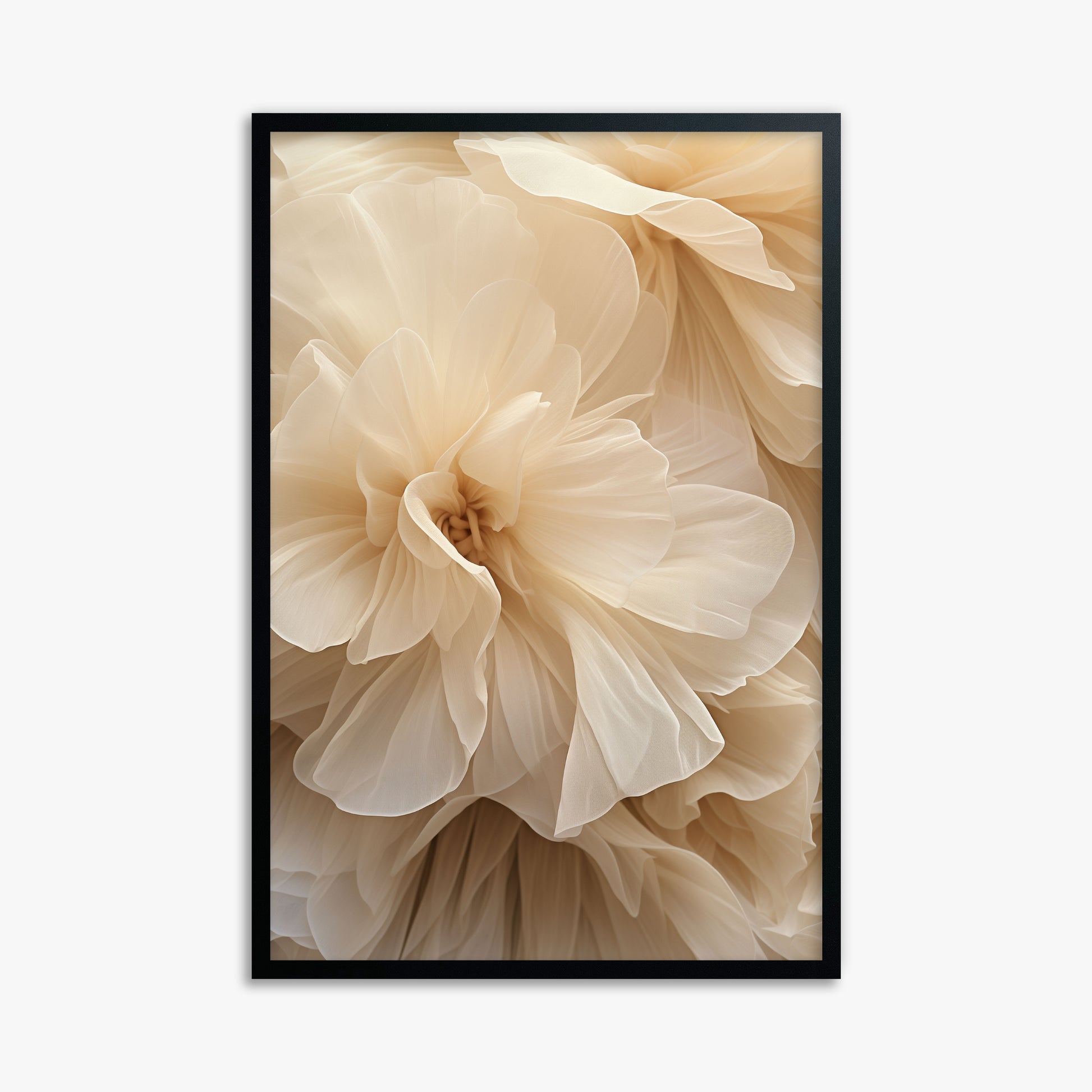 Ivory Petals Whisper, 61x91cm Framed Poster With Black Frame