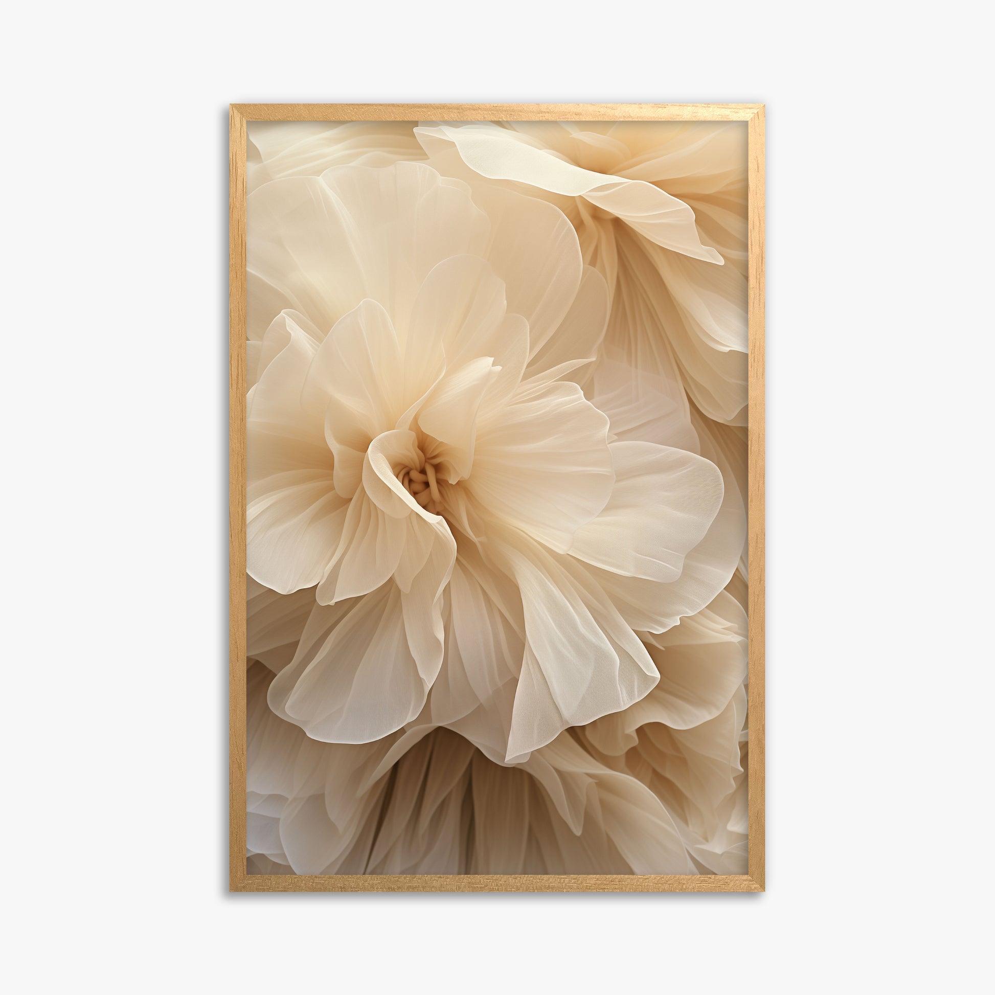 Ivory Petals Whisper, 61x91cm Framed Poster With Oak Frame
