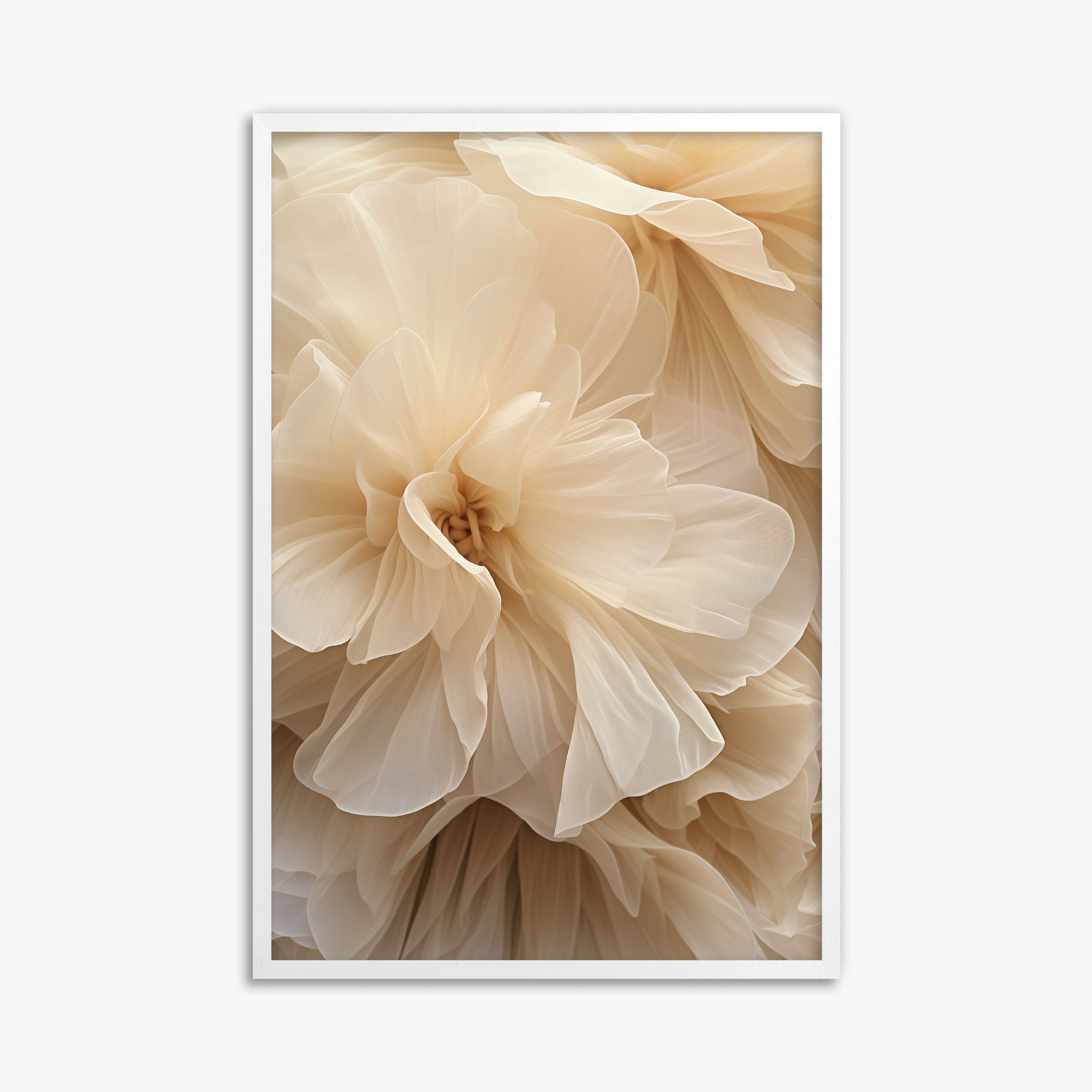 Ivory Petals Whisper, 61x91cm Framed Poster With White Frame