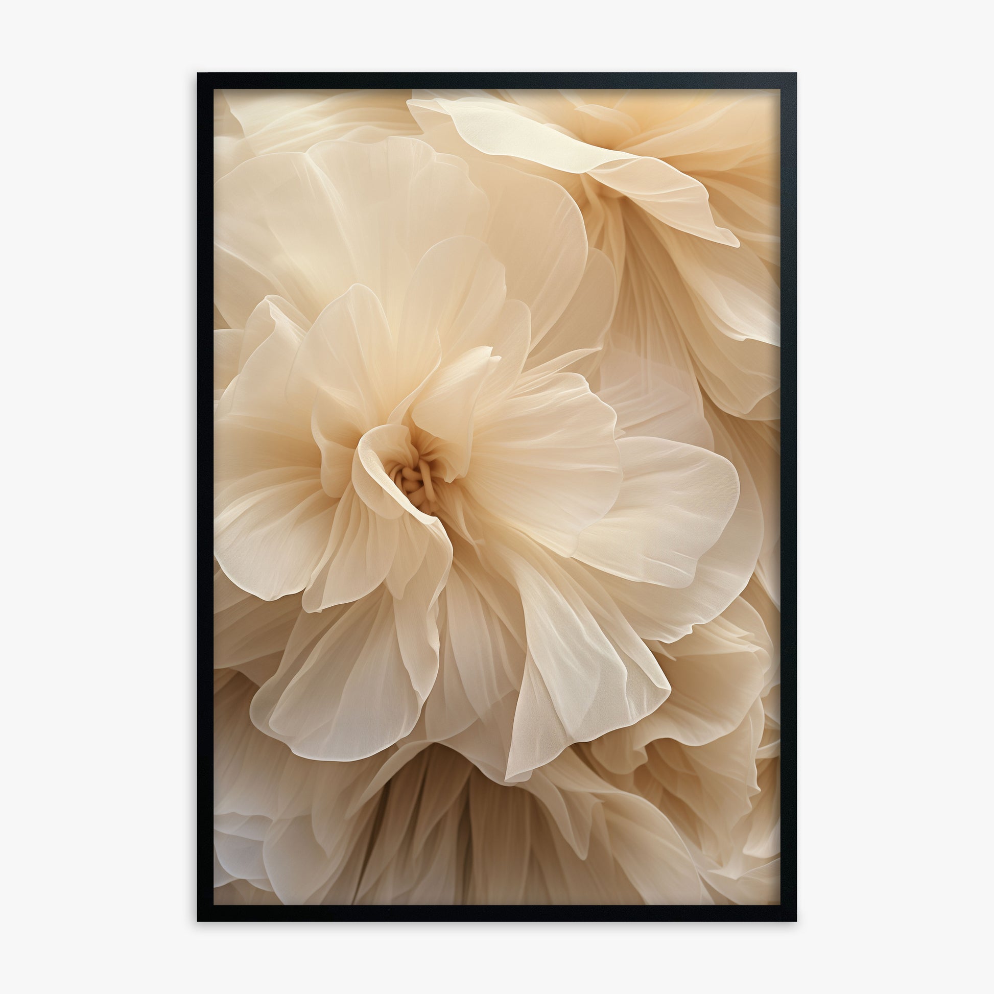Ivory Petals Whisper, Black Framed Poster With Black Frame