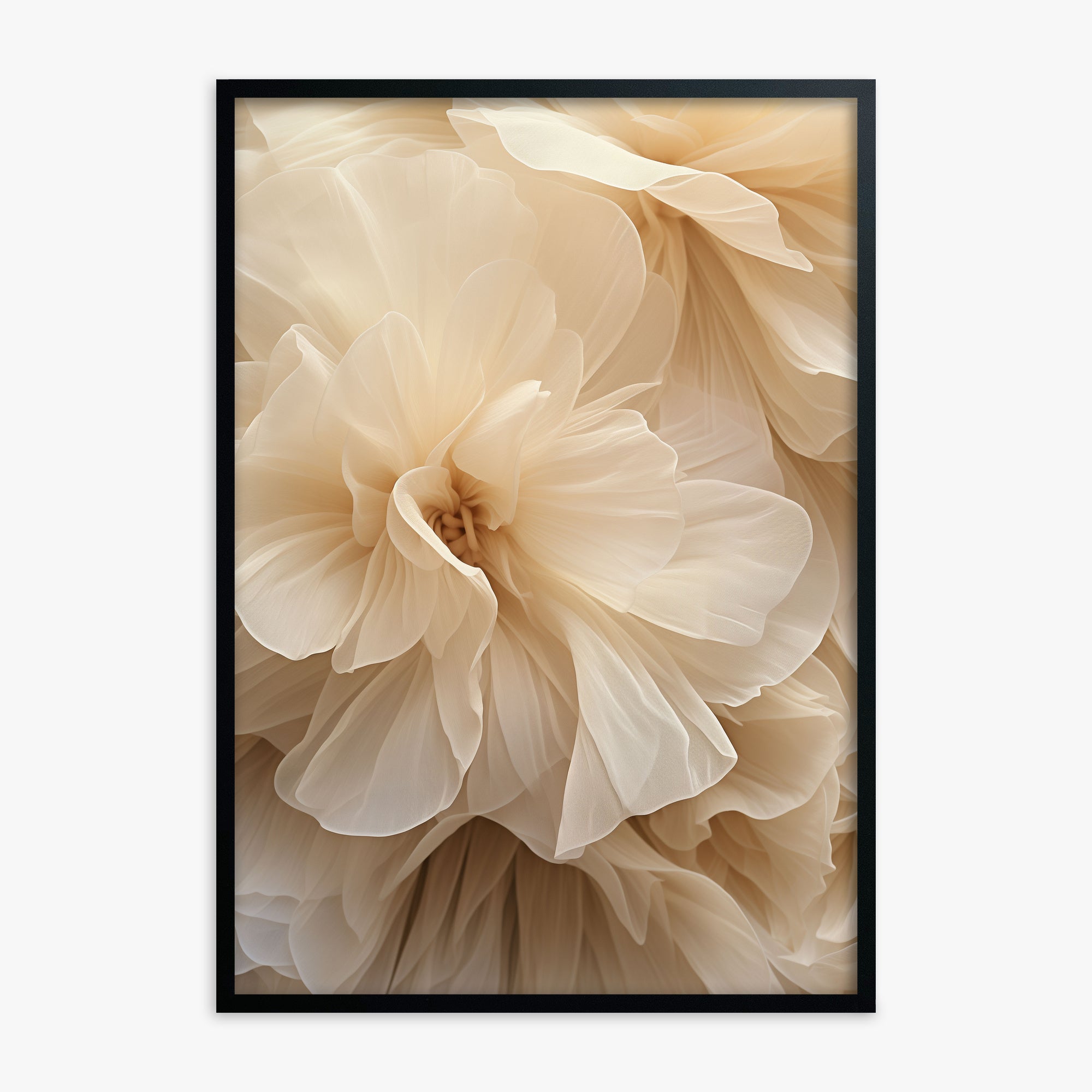 Ivory Petals Whisper, Black Framed Poster With Black Frame