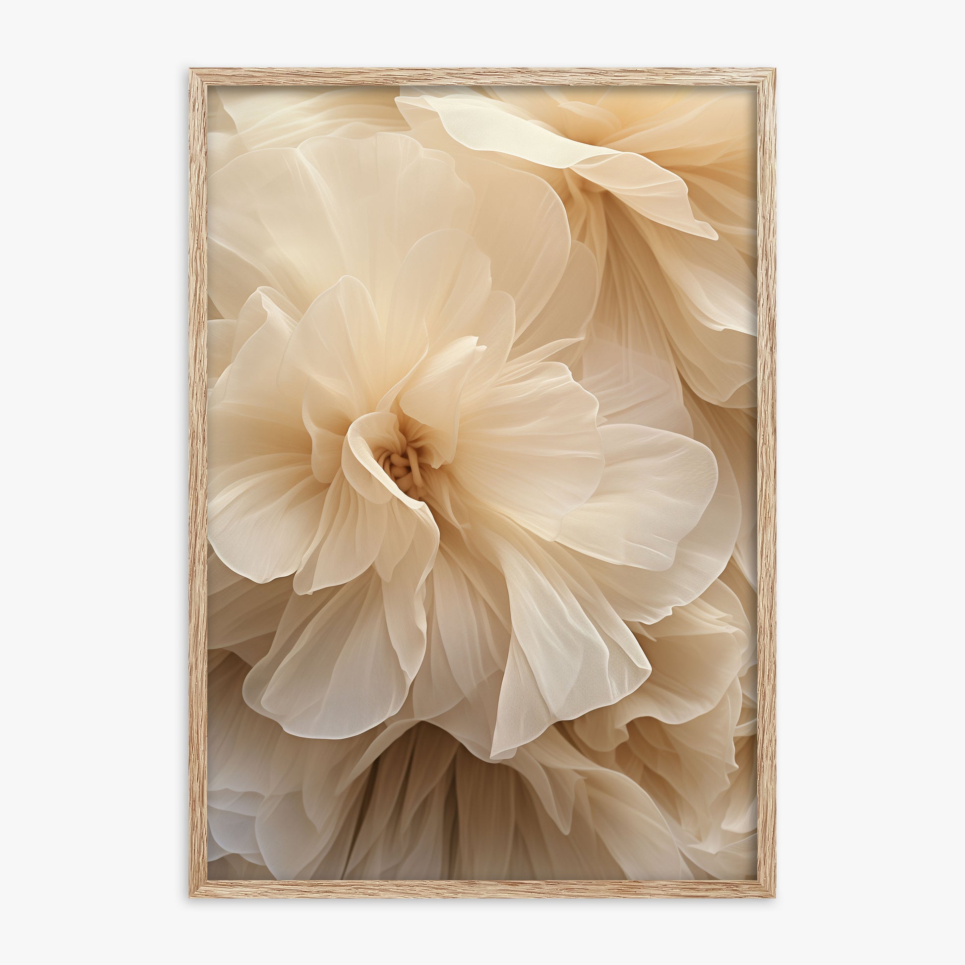 Ivory Petals Whisper, 70x100cm Framed Poster With Raw Oak Frame