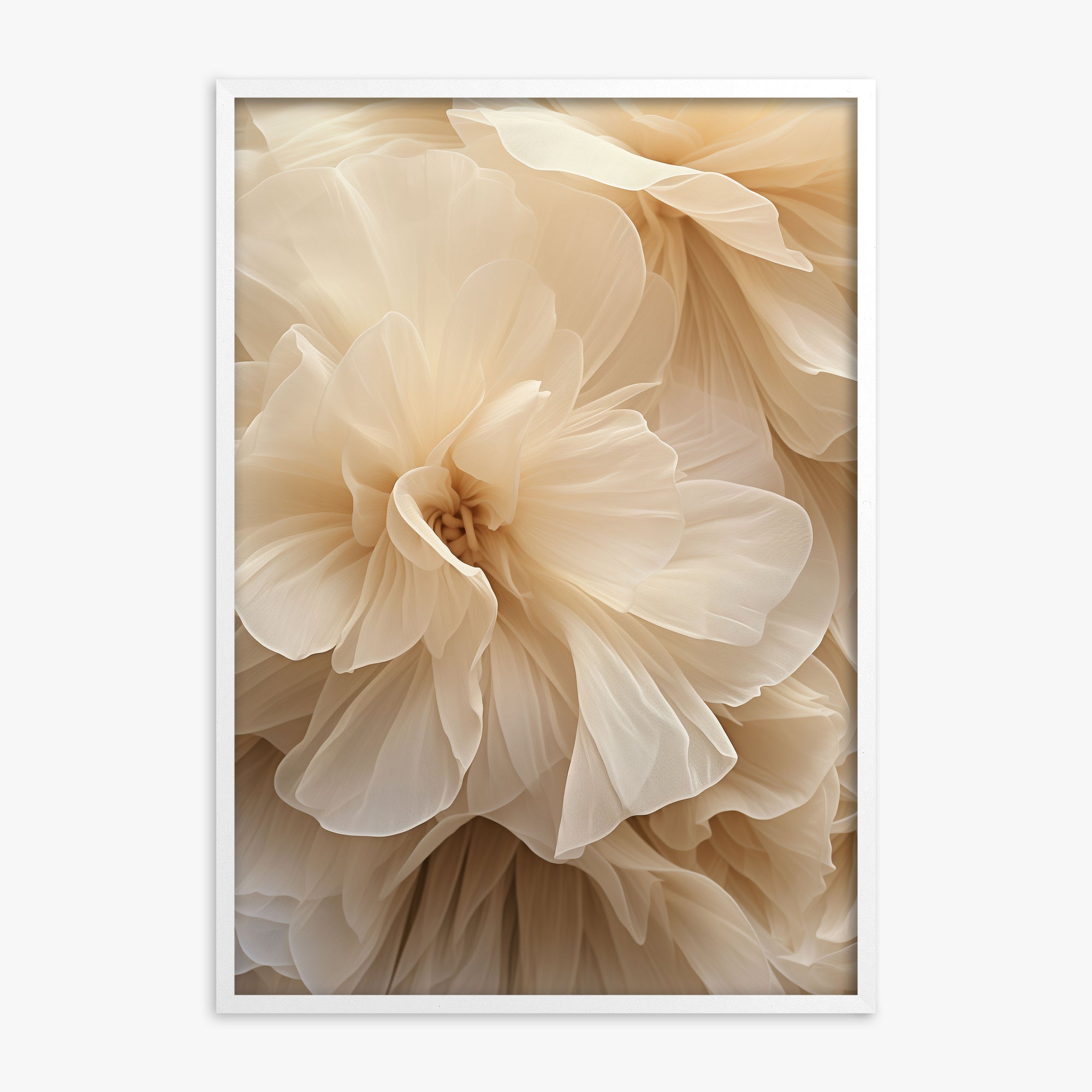 Ivory Petals Whisper, White Framed Poster With White Frame