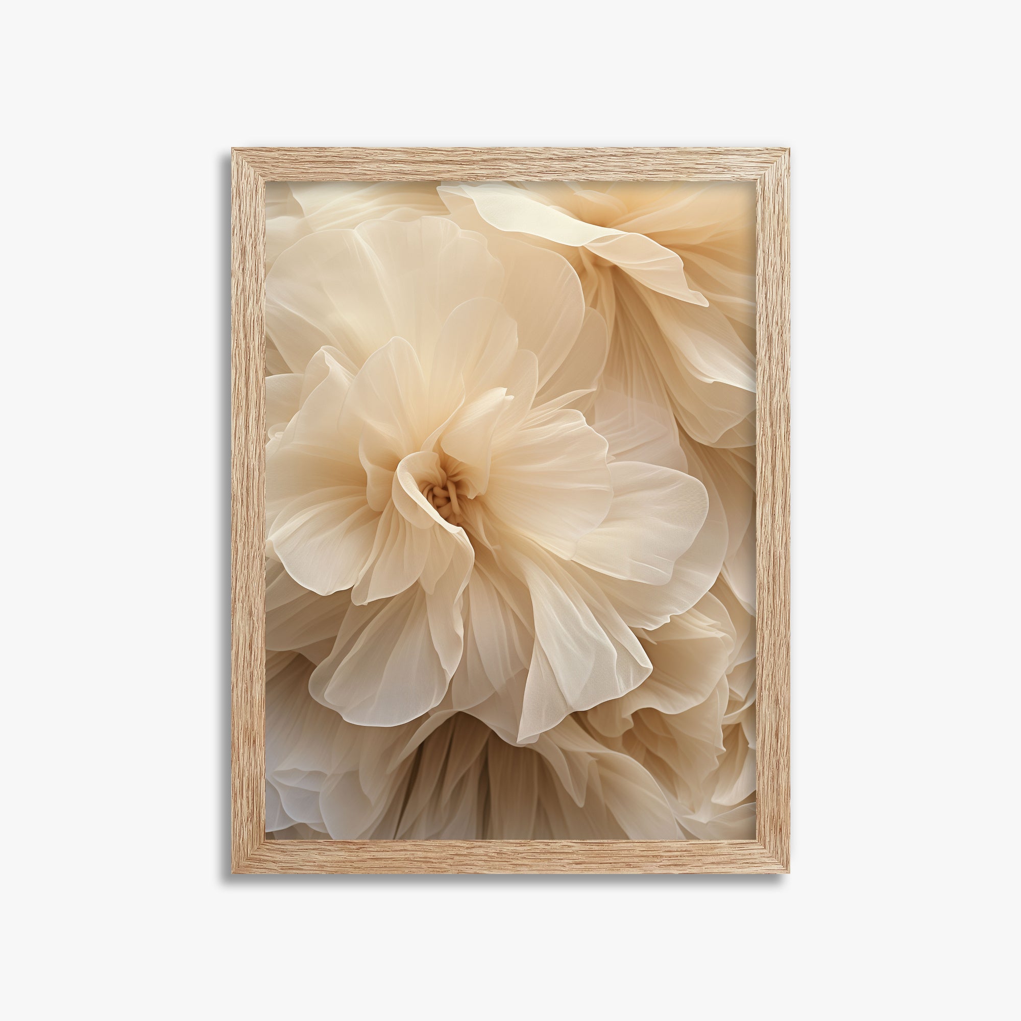 Petali d'avorio Whisper
