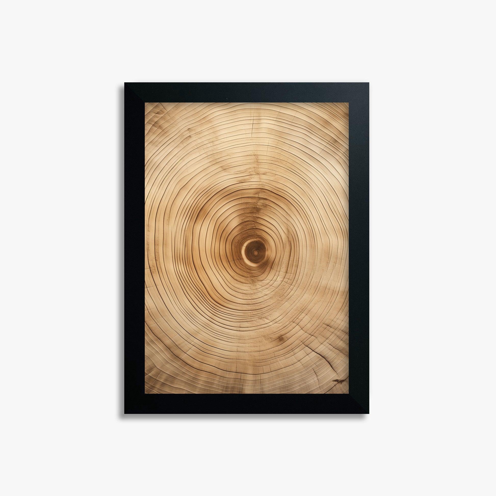 Annular Echo, 21x30cm Framed Poster With Black Frame