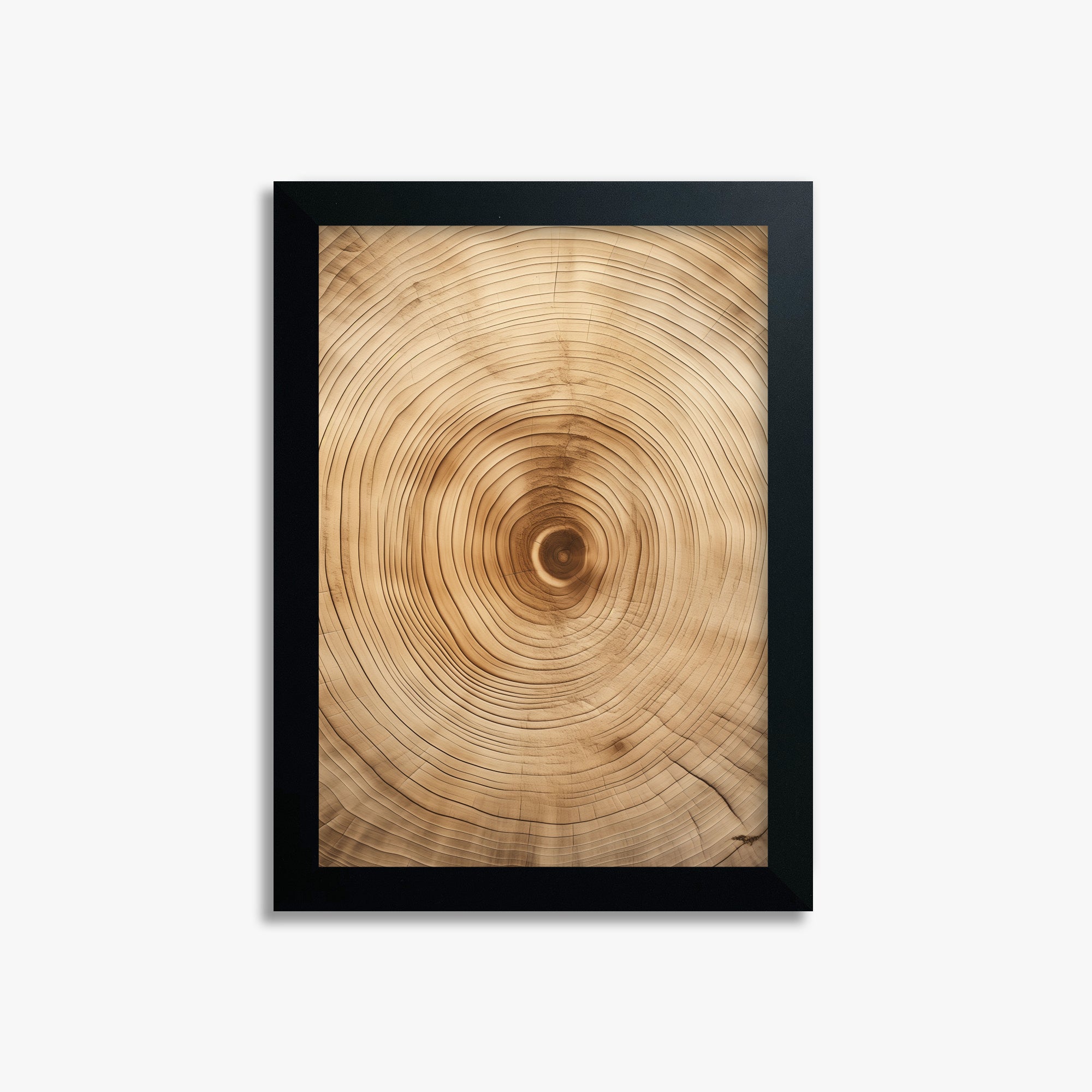 Annular Echo, 21x30cm Framed Poster With Black Frame