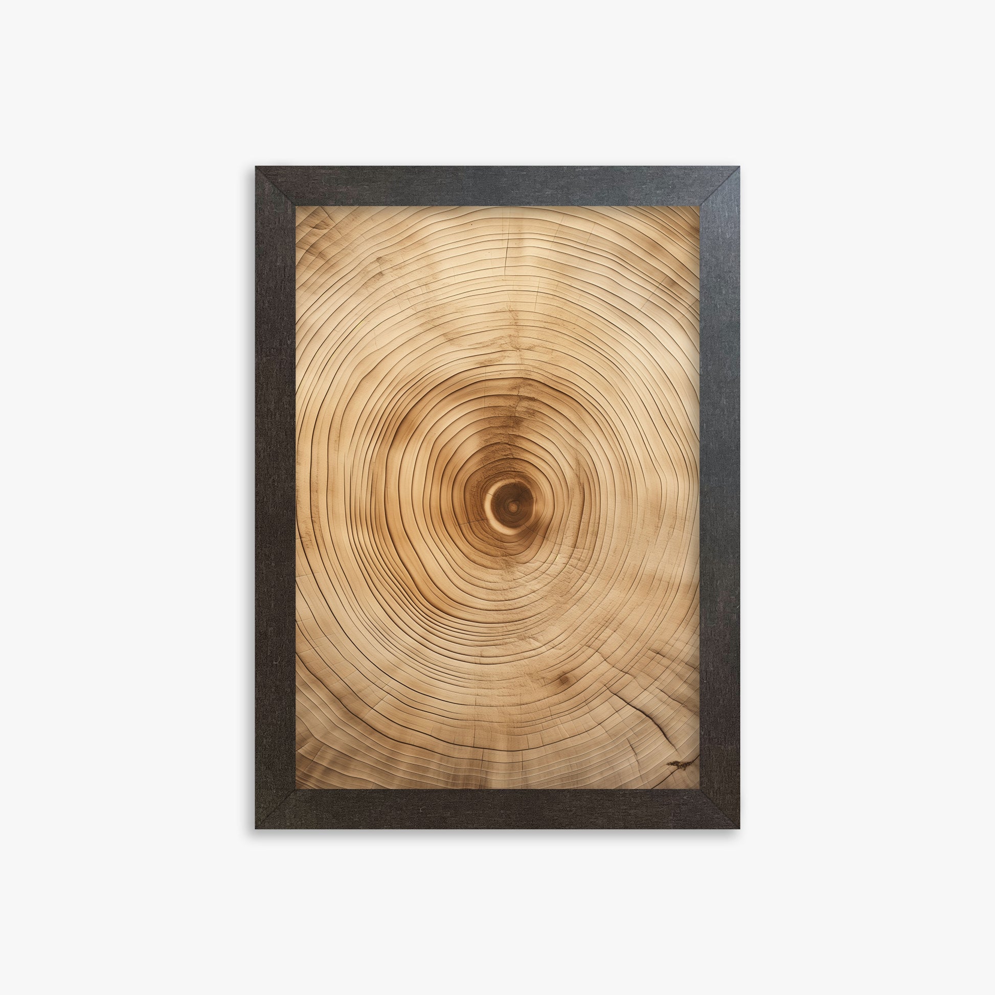 Annular Echo, 21x30cm Framed Poster With Espresso Frame