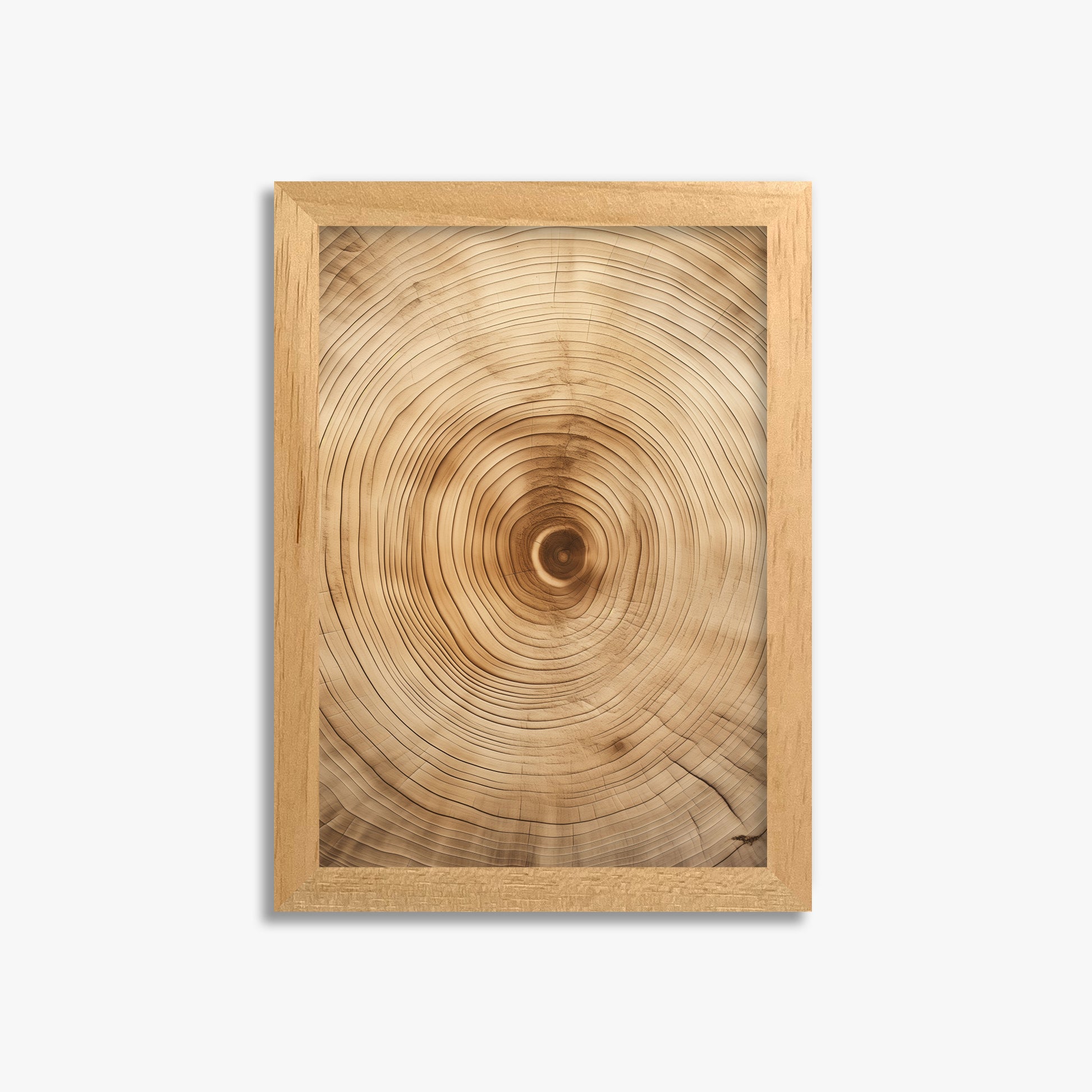 Annular Echo, 21x30cm Framed Poster With Oak Frame