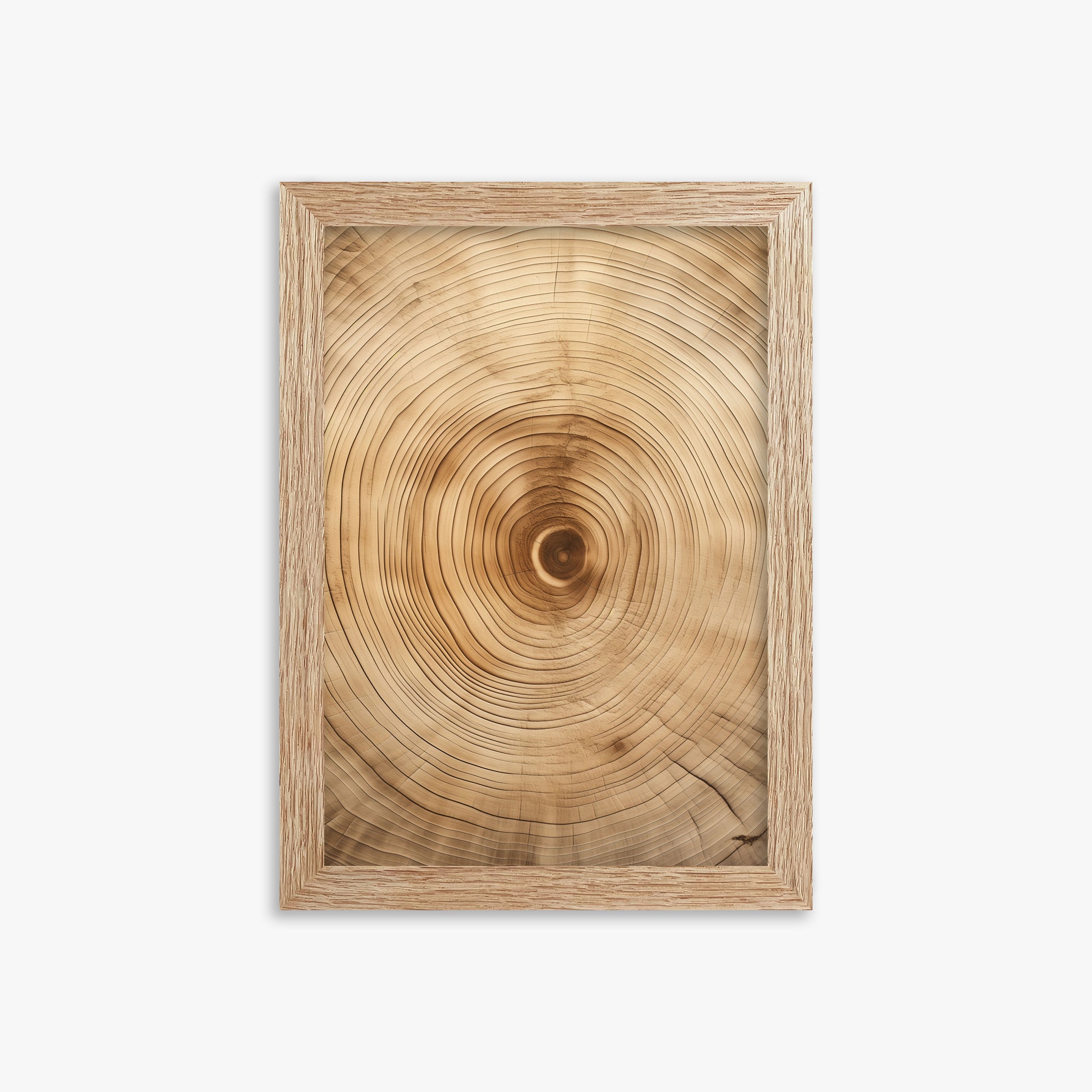 Annular Echo, 21x30cm Framed Poster With Raw Oak Frame