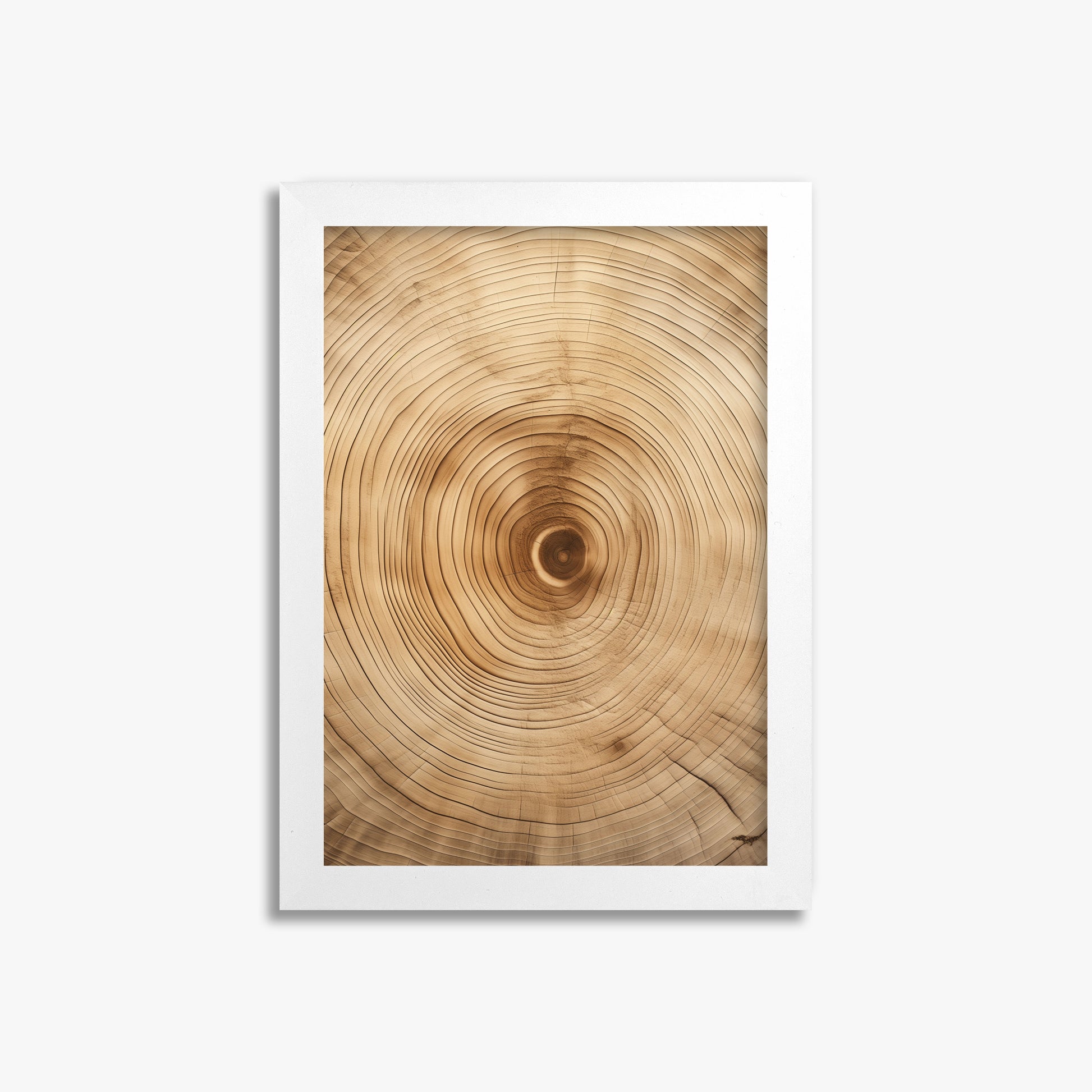 Annular Echo, 21x30cm Framed Poster With White Frame