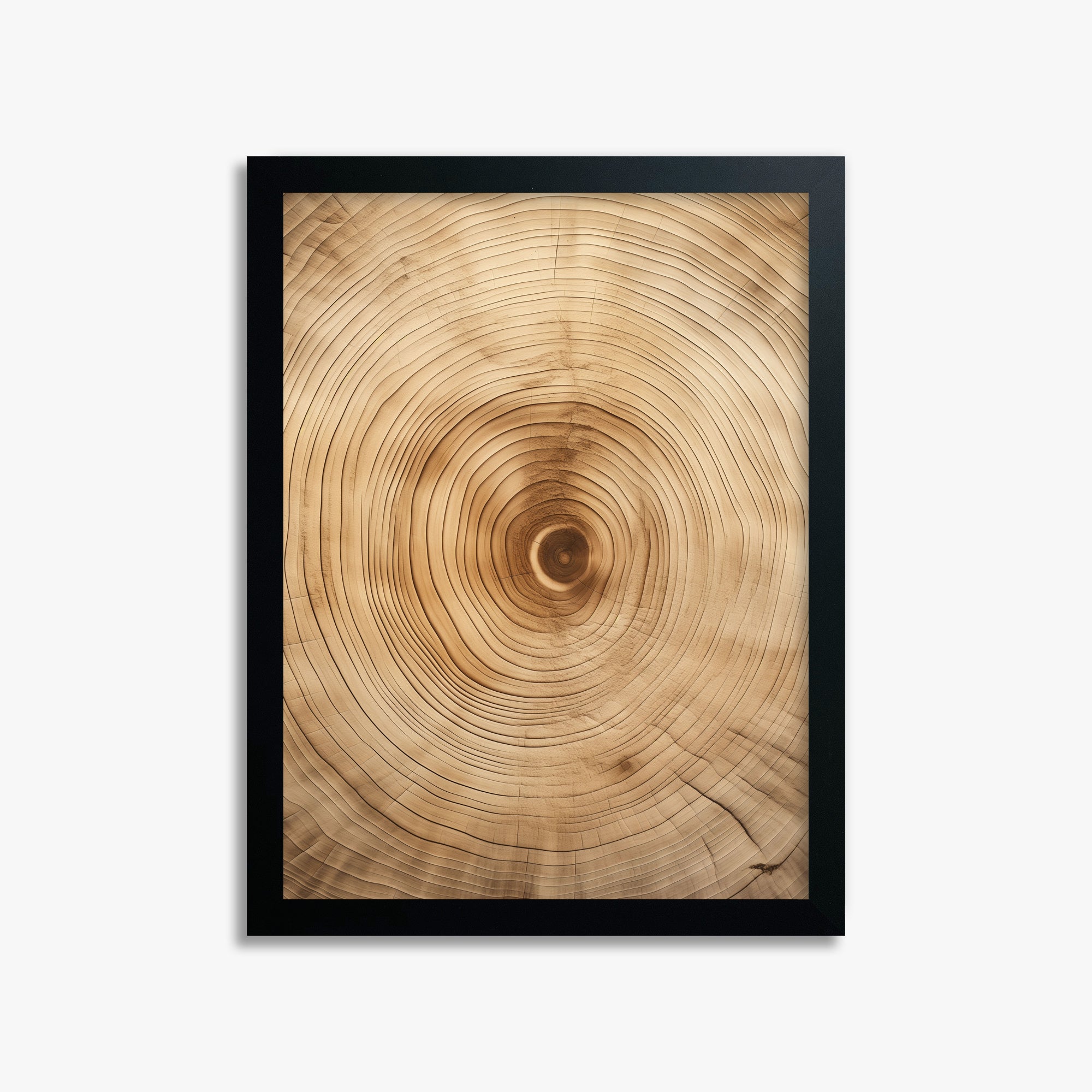 Annular Echo, 30x40cm Framed Poster With Black Frame
