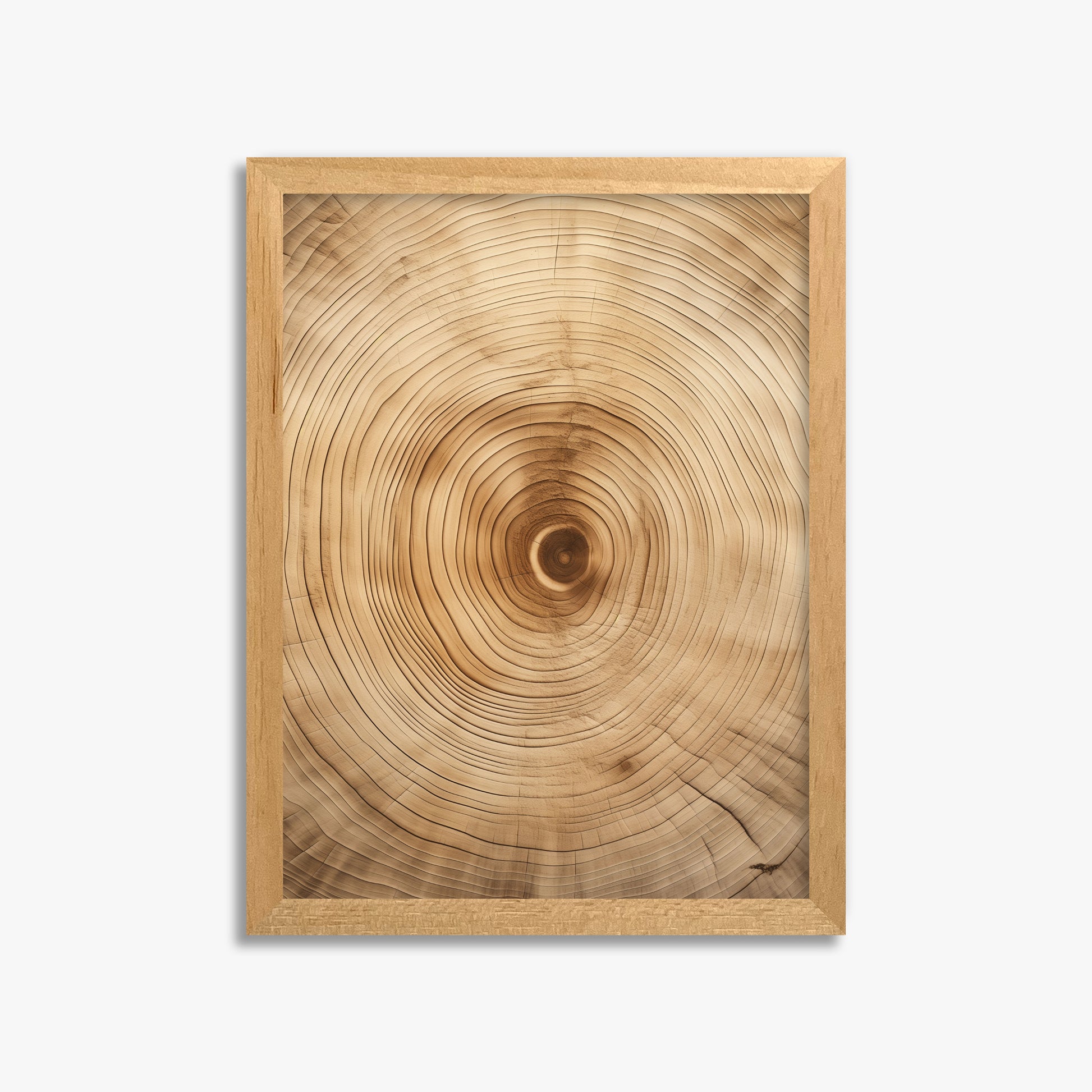 Annular Echo, 30x40cm Framed Poster With Oak Frame