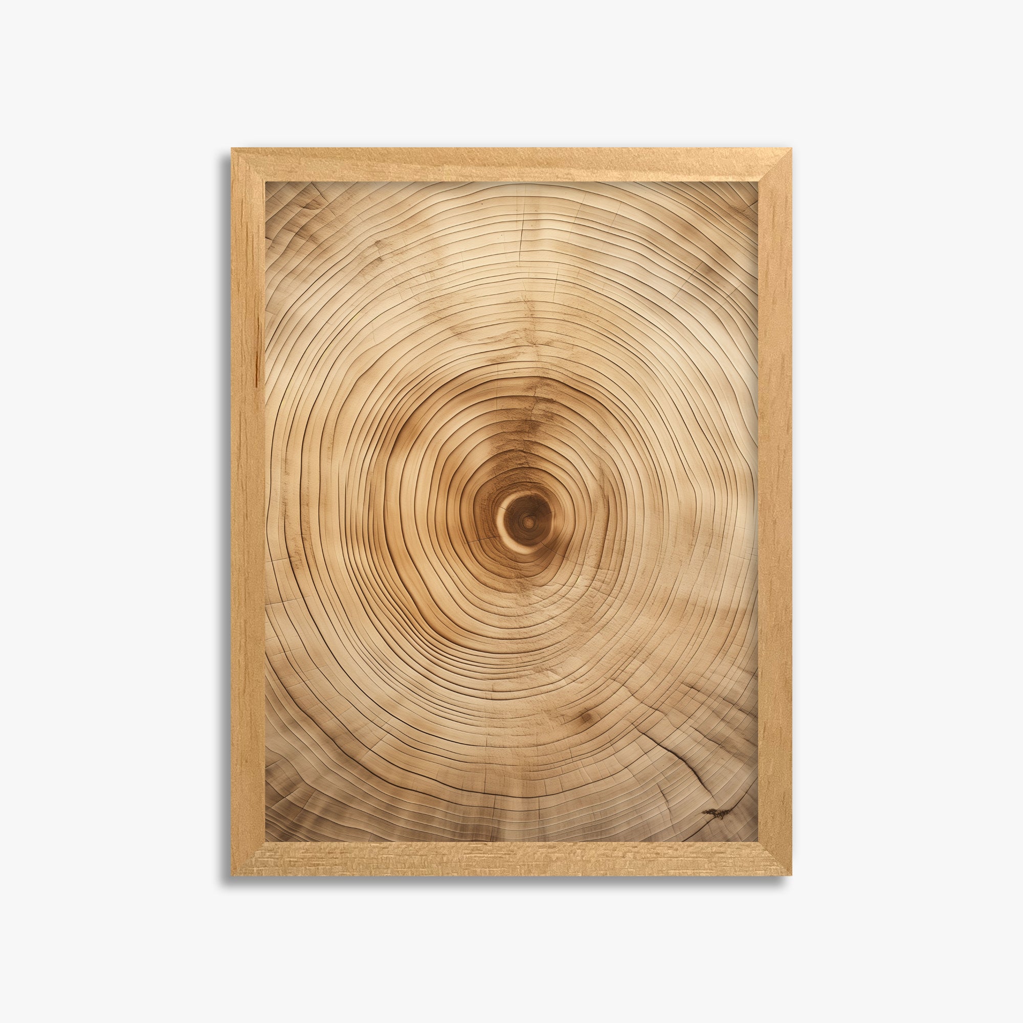 Annular Echo, 30x40cm Framed Poster With Oak Frame