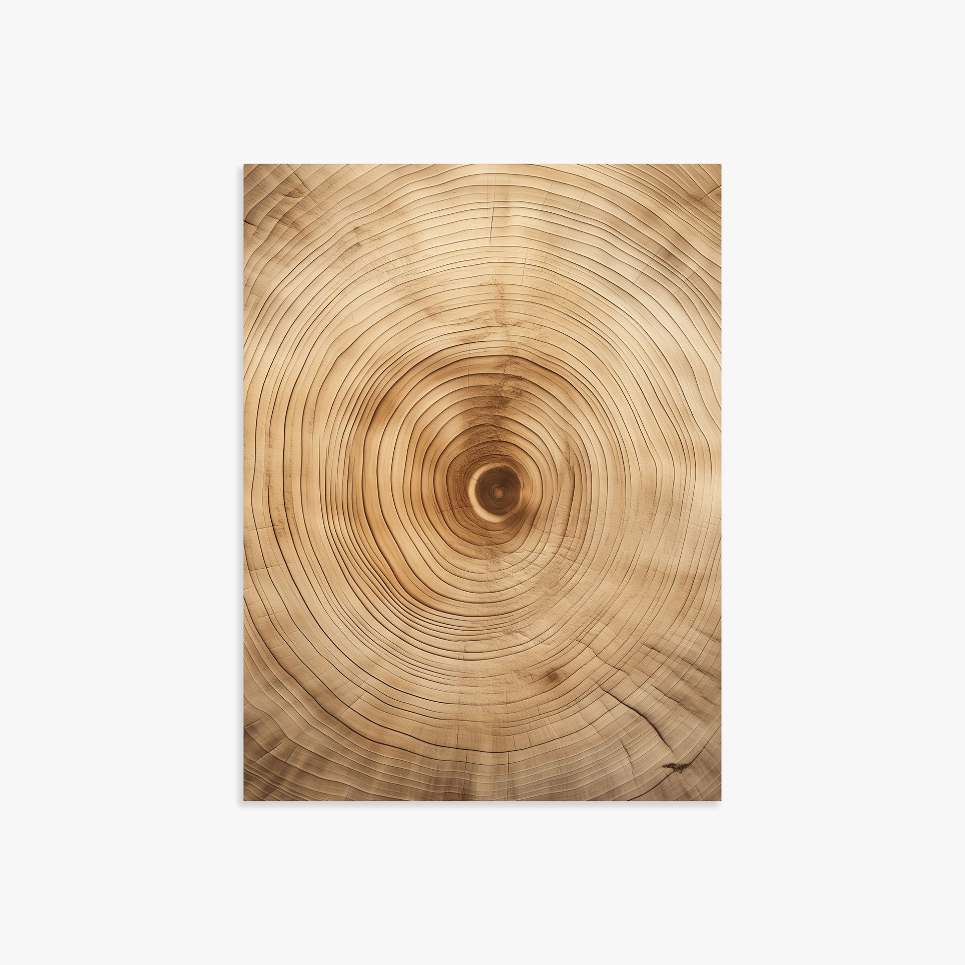 Annular Echo, 30x40cm Poster Unframed