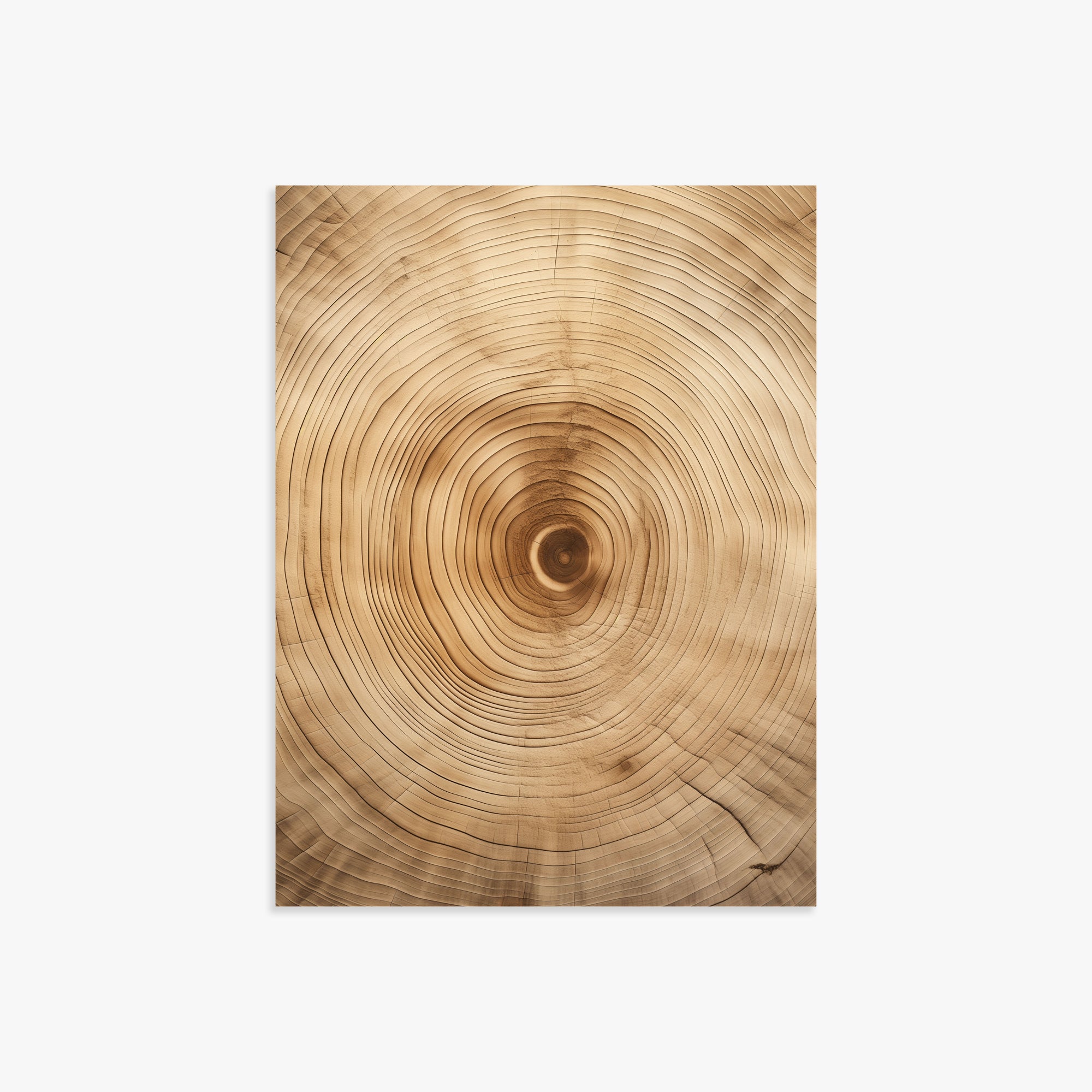 Annular Echo, 30x40cm Poster Unframed