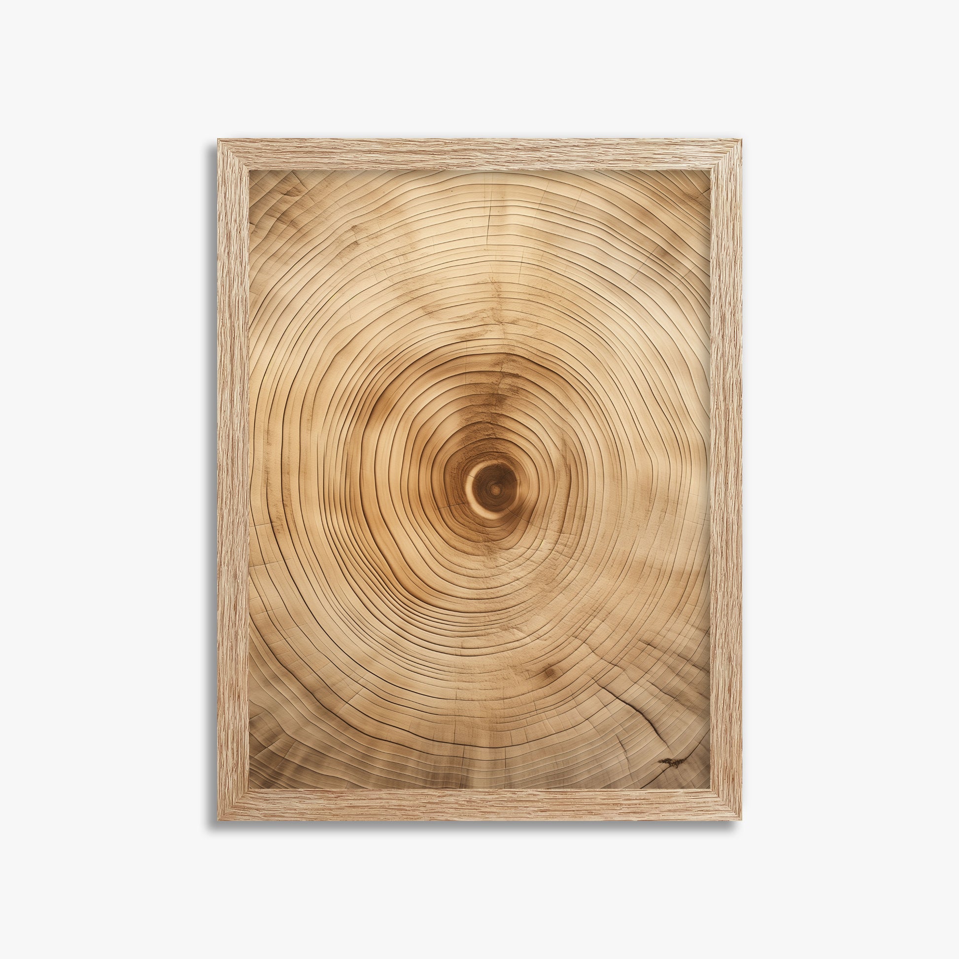 Annular Echo, 30x40cm Framed Poster With Raw Oak Frame