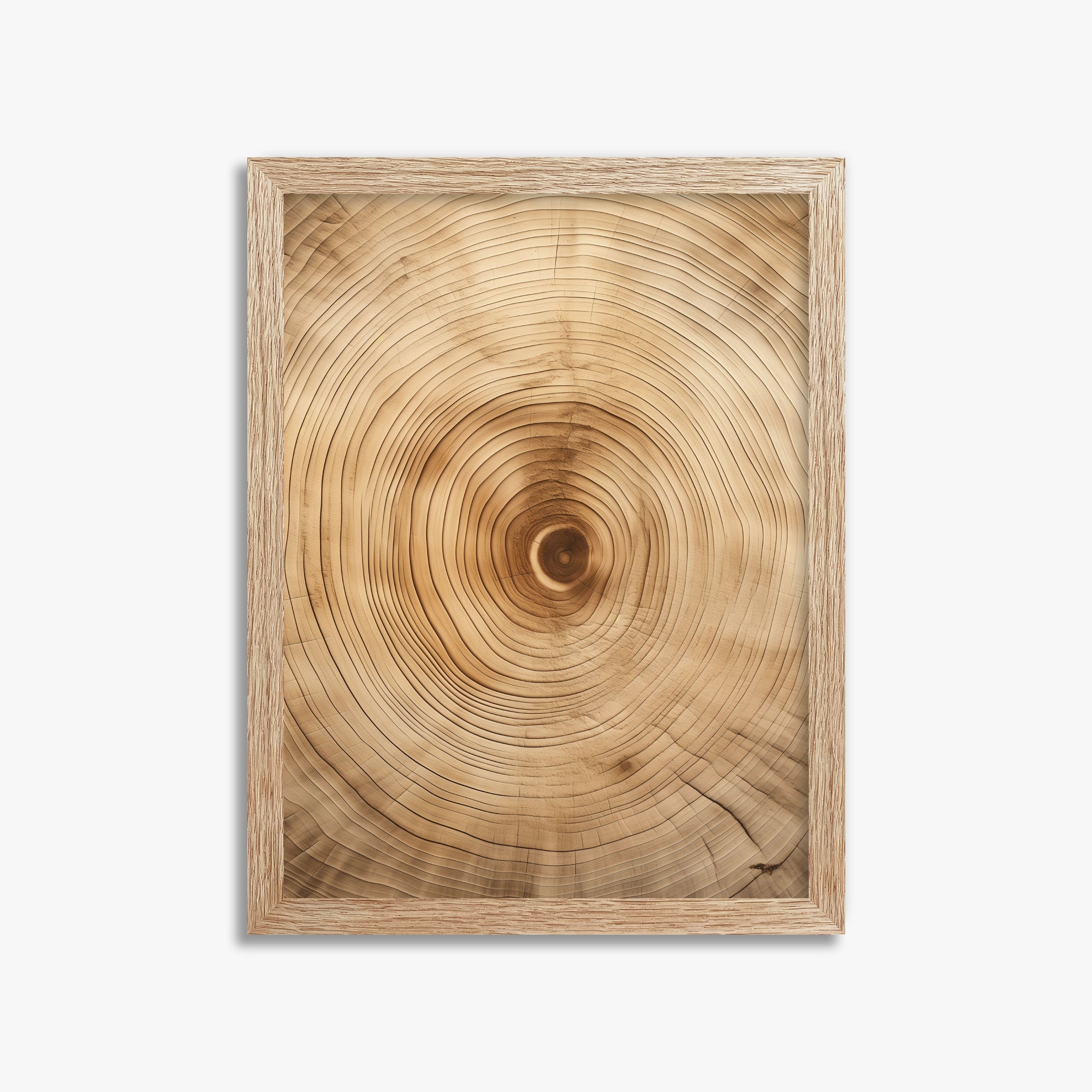 Annular Echo, 30x40cm Framed Poster With Raw Oak Frame
