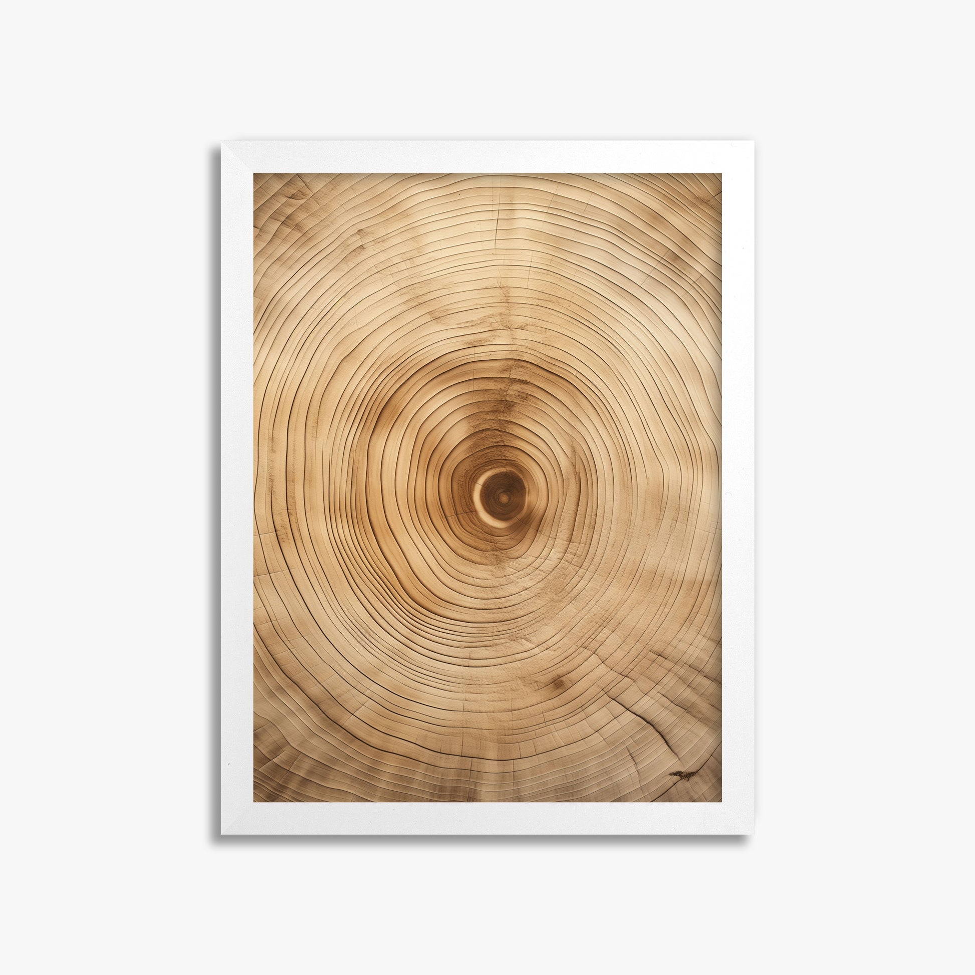 Annular Echo, 30x40cm Framed Poster With White Frame