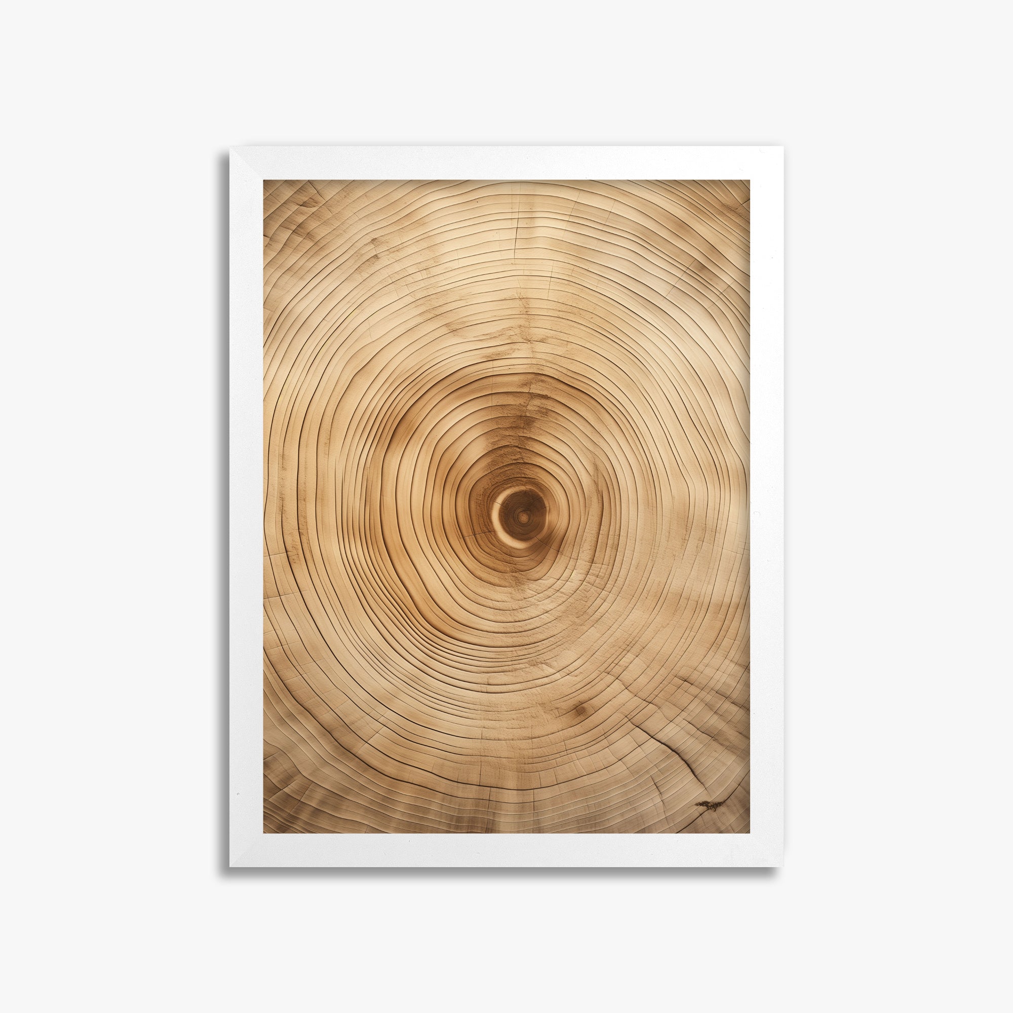 Annular Echo, 30x40cm Framed Poster With White Frame