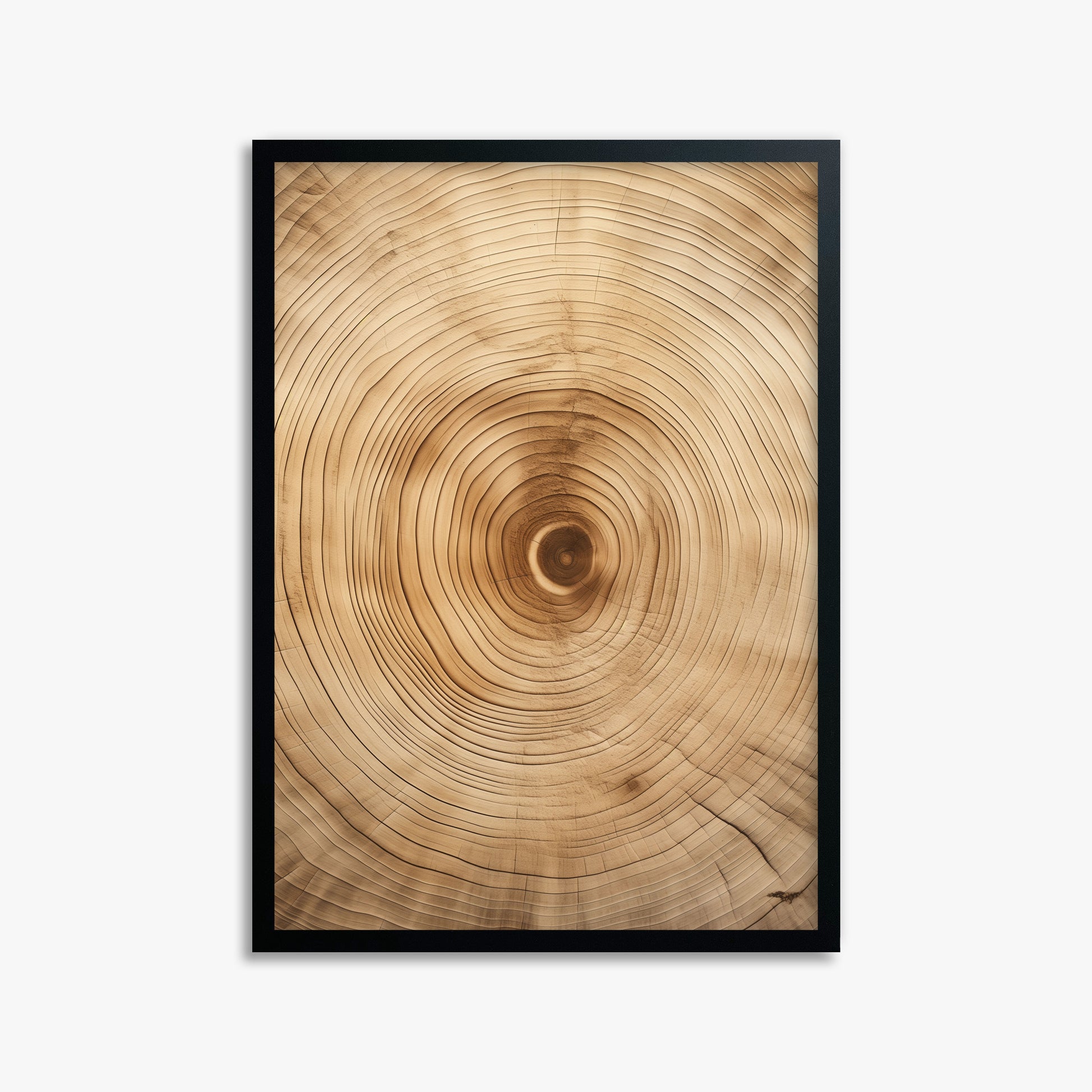 Annular Echo, 50x70cm Framed Poster With Black Frame