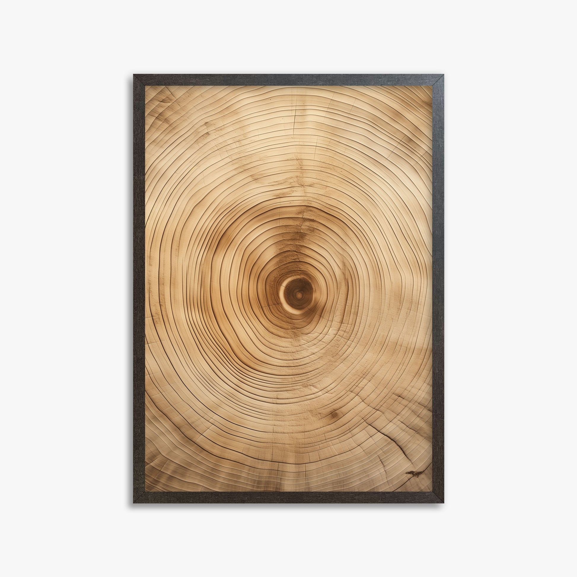 Annular Echo, 50x70cm Framed Poster With Espresso Frame