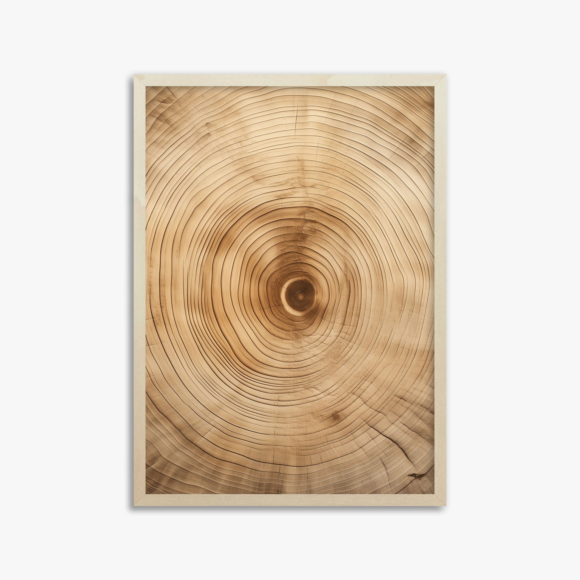 Annular Echo, 50x70cm Framed Poster With Lime Wood Frame