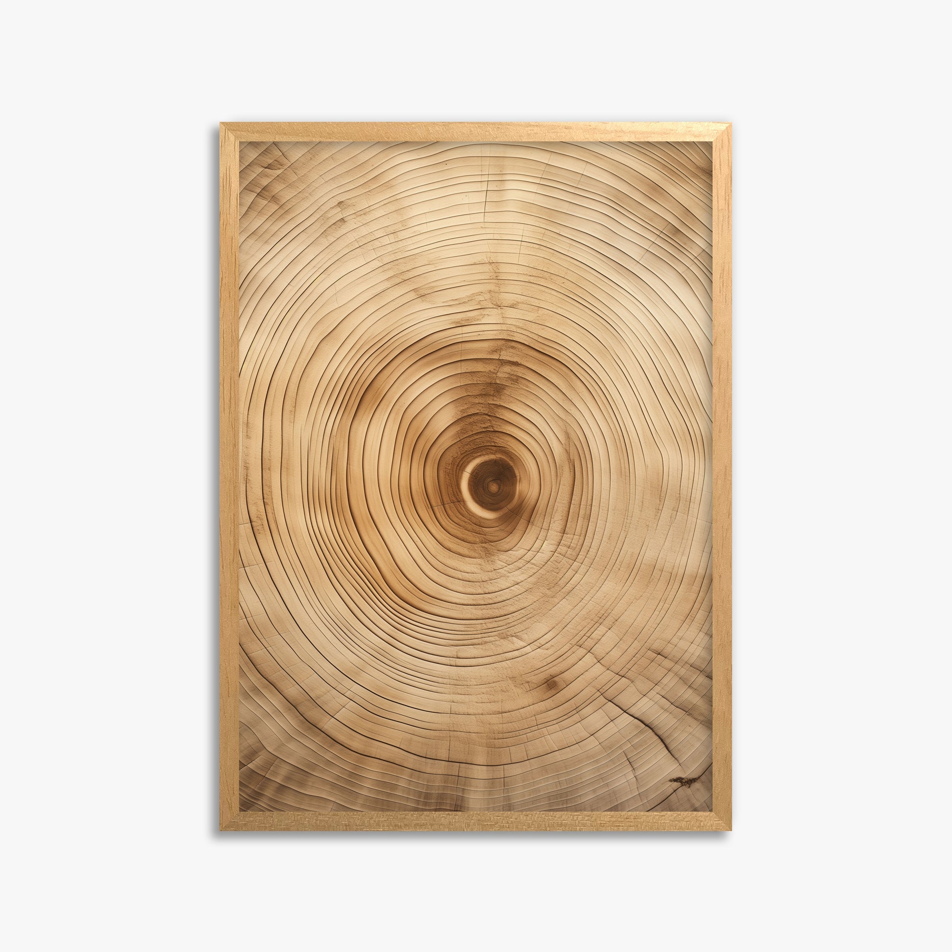 Annular Echo, 50x70cm Framed Poster With Oak Frame