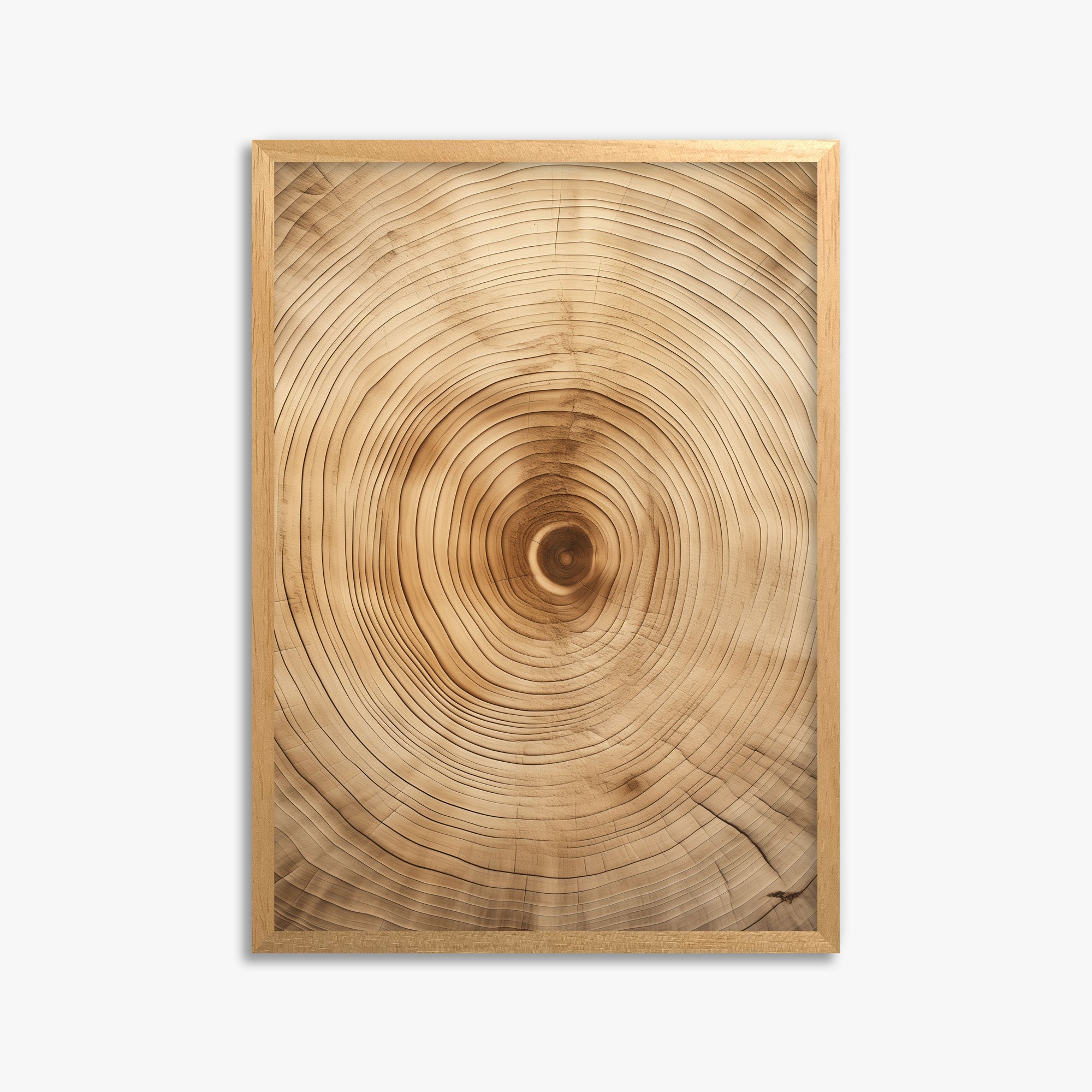 Annular Echo, 50x70cm Framed Poster With Oak Frame