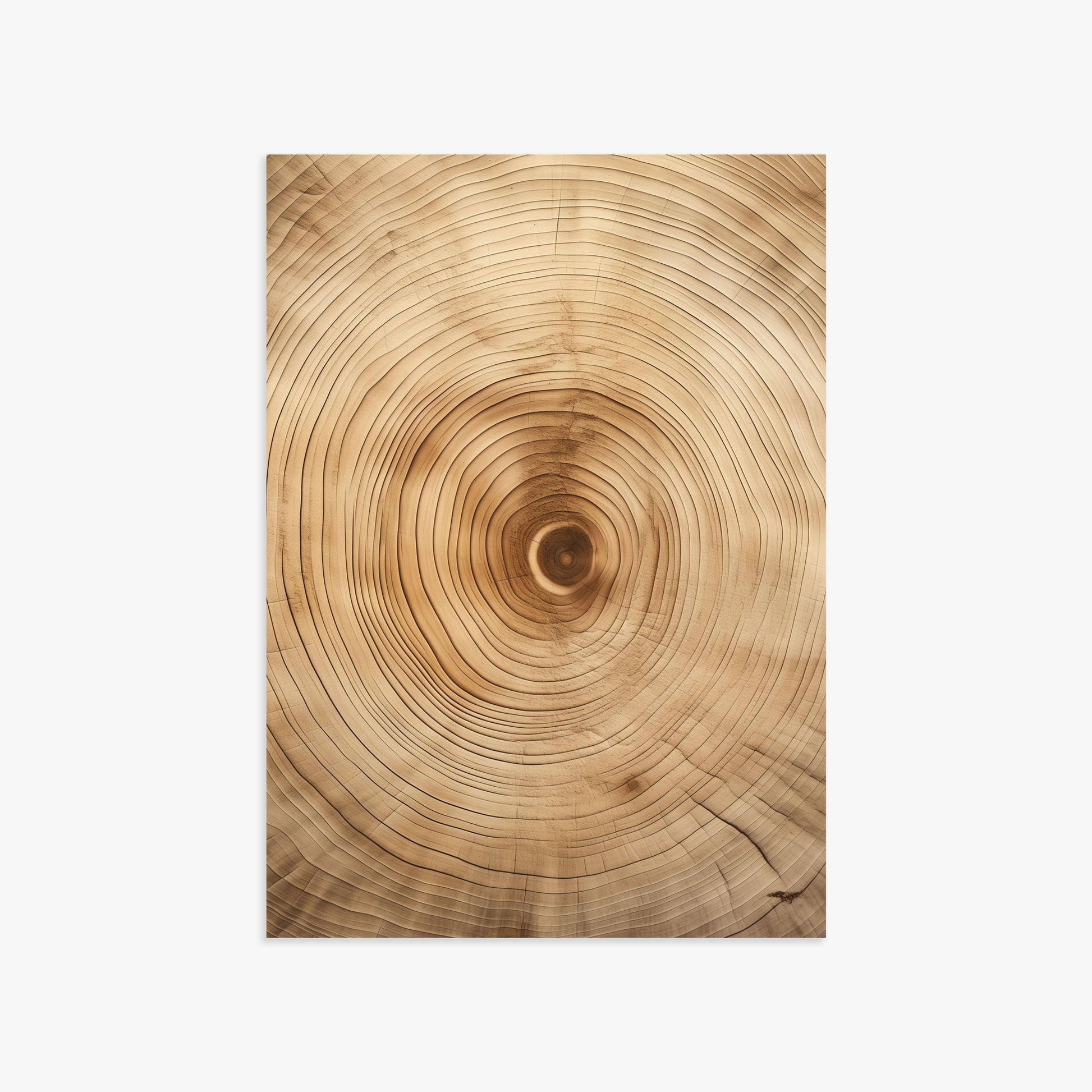 Annular Echo, 50x70cm Poster Unframed