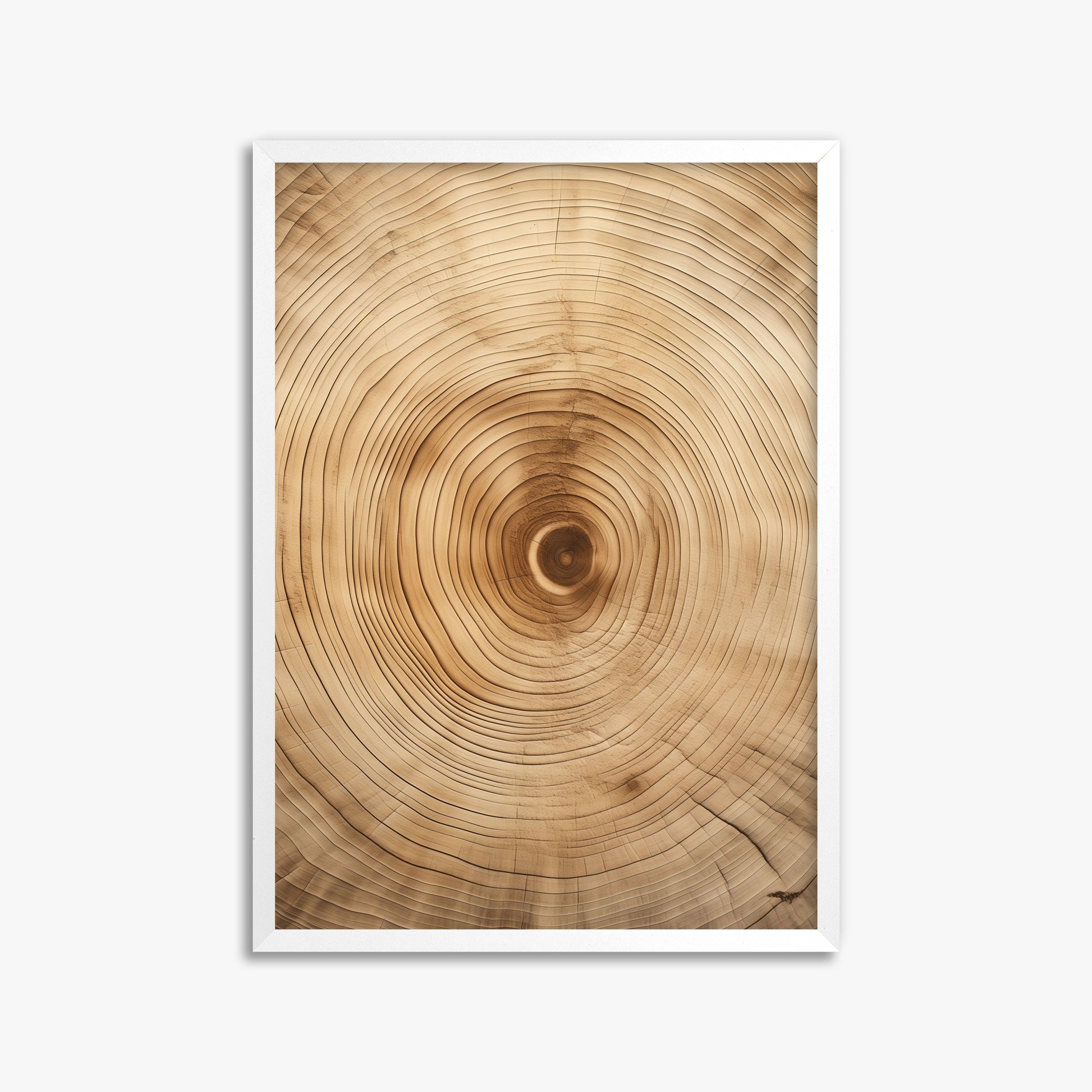 Annular Echo, 50x70cm Framed Poster With White Frame