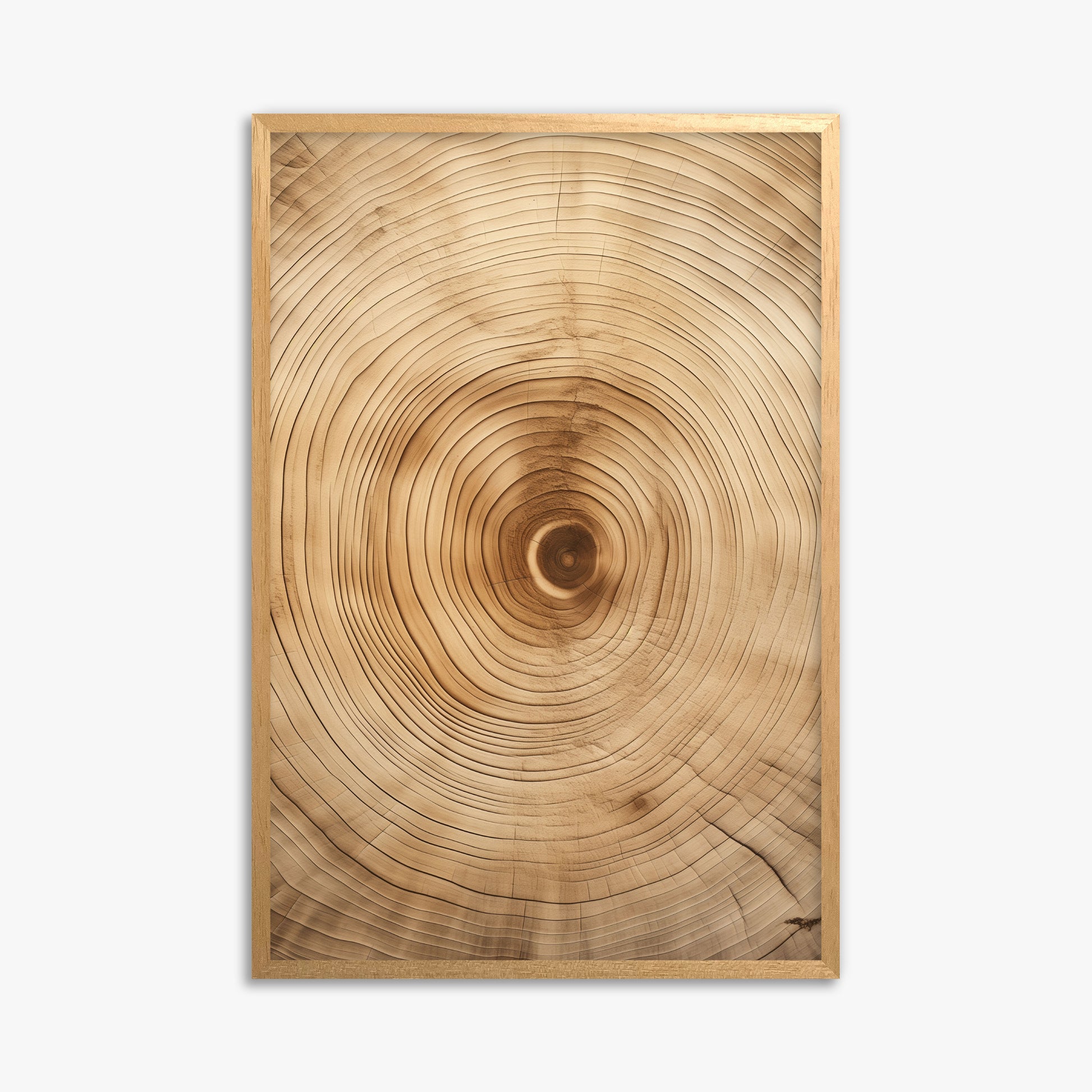 Annular Echo, 61x91cm Framed Poster With Oak Frame