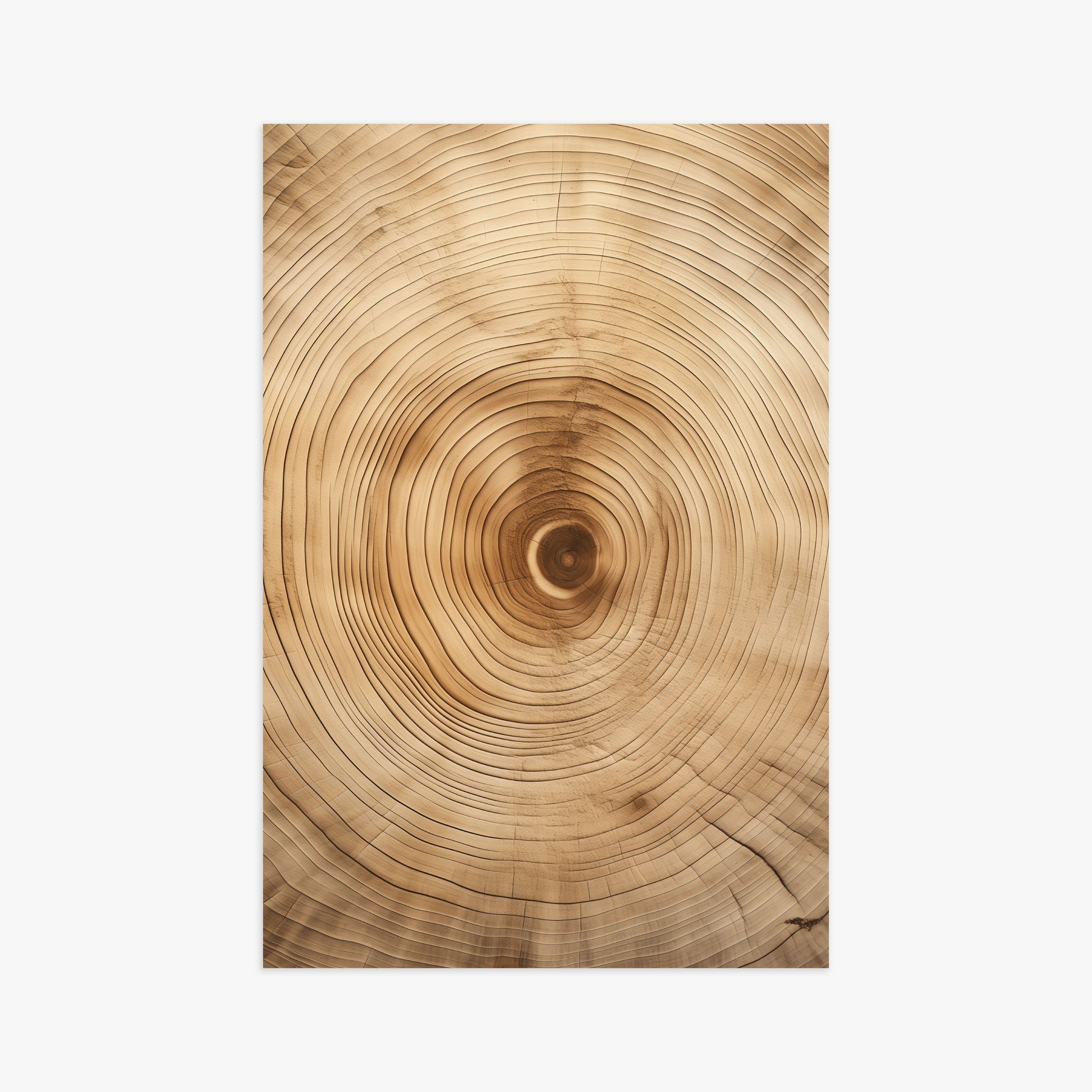 Annular Echo, 61x91cm Poster Unframed