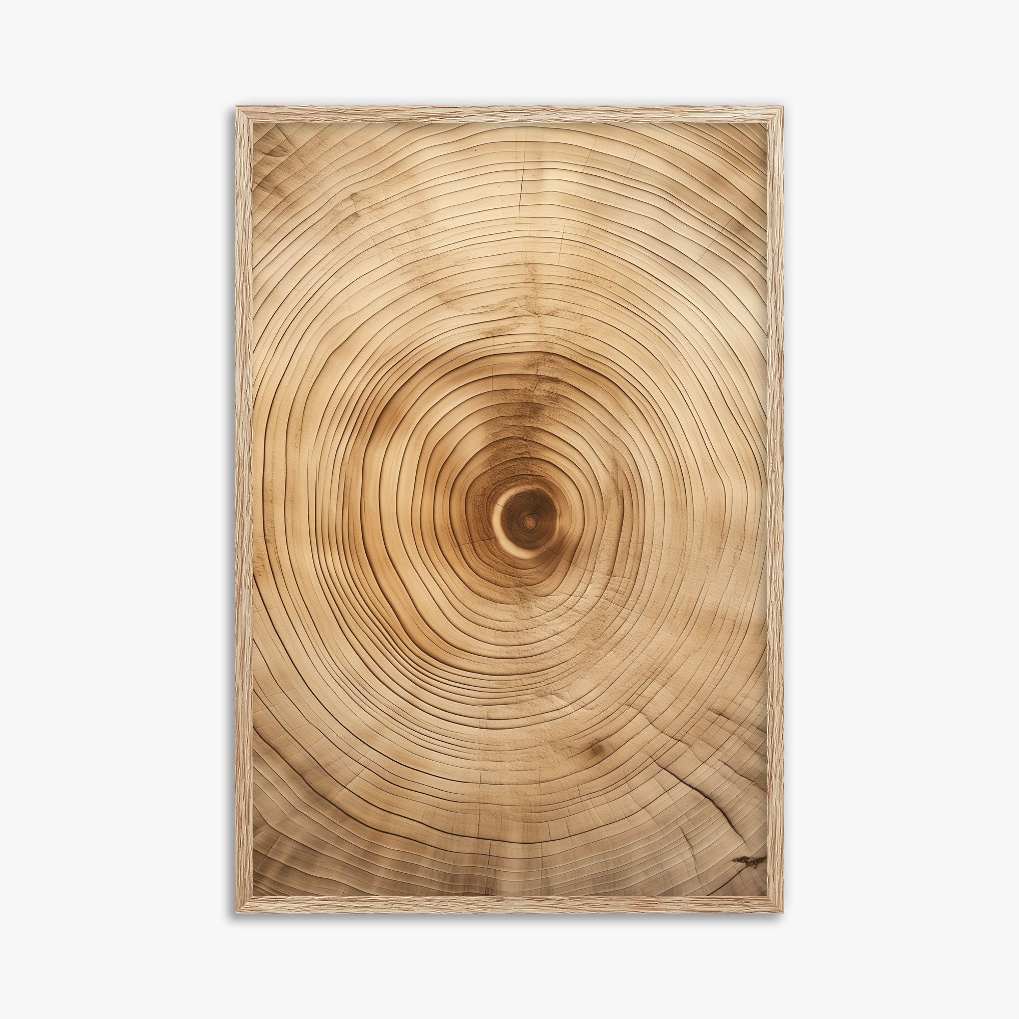 Annular Echo, 61x91cm Framed Poster With Raw Oak Frame