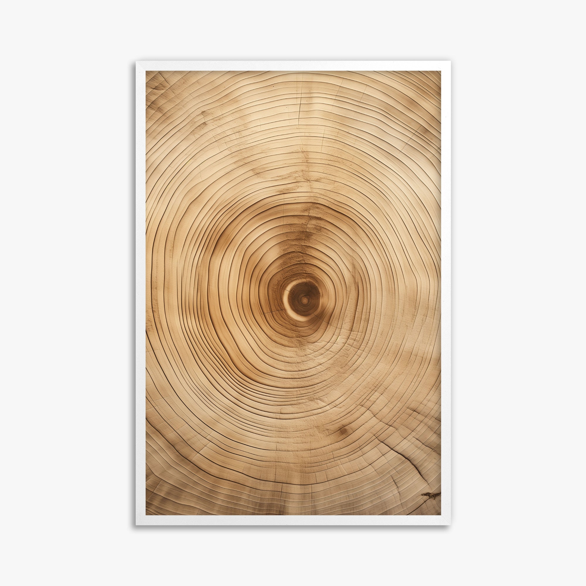 Annular Echo, 61x91cm Framed Poster With White Frame