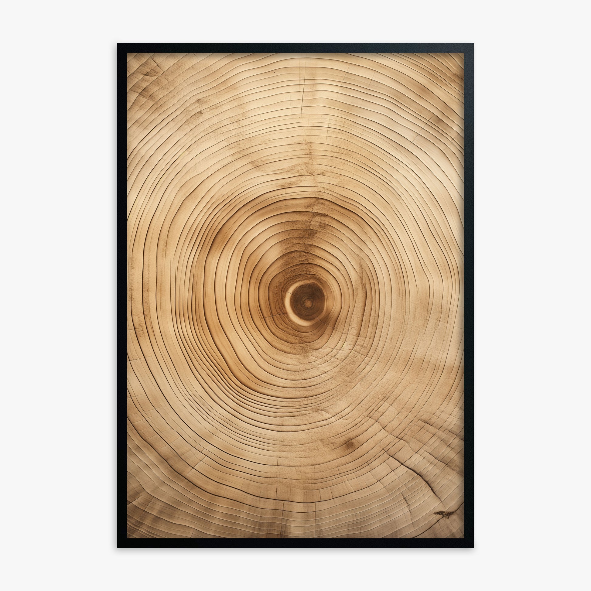 Annular Echo, Black Framed Poster With Black Frame